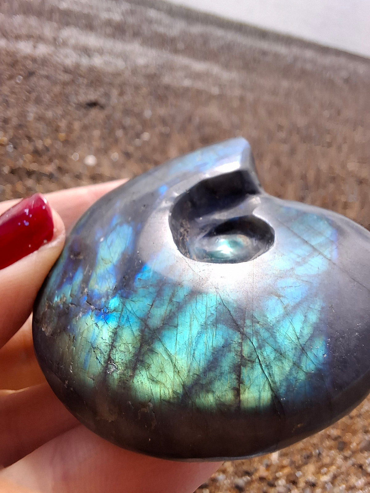 Labradorite Ammonite carving, 96.88g, Crystal (Ref: laba1)