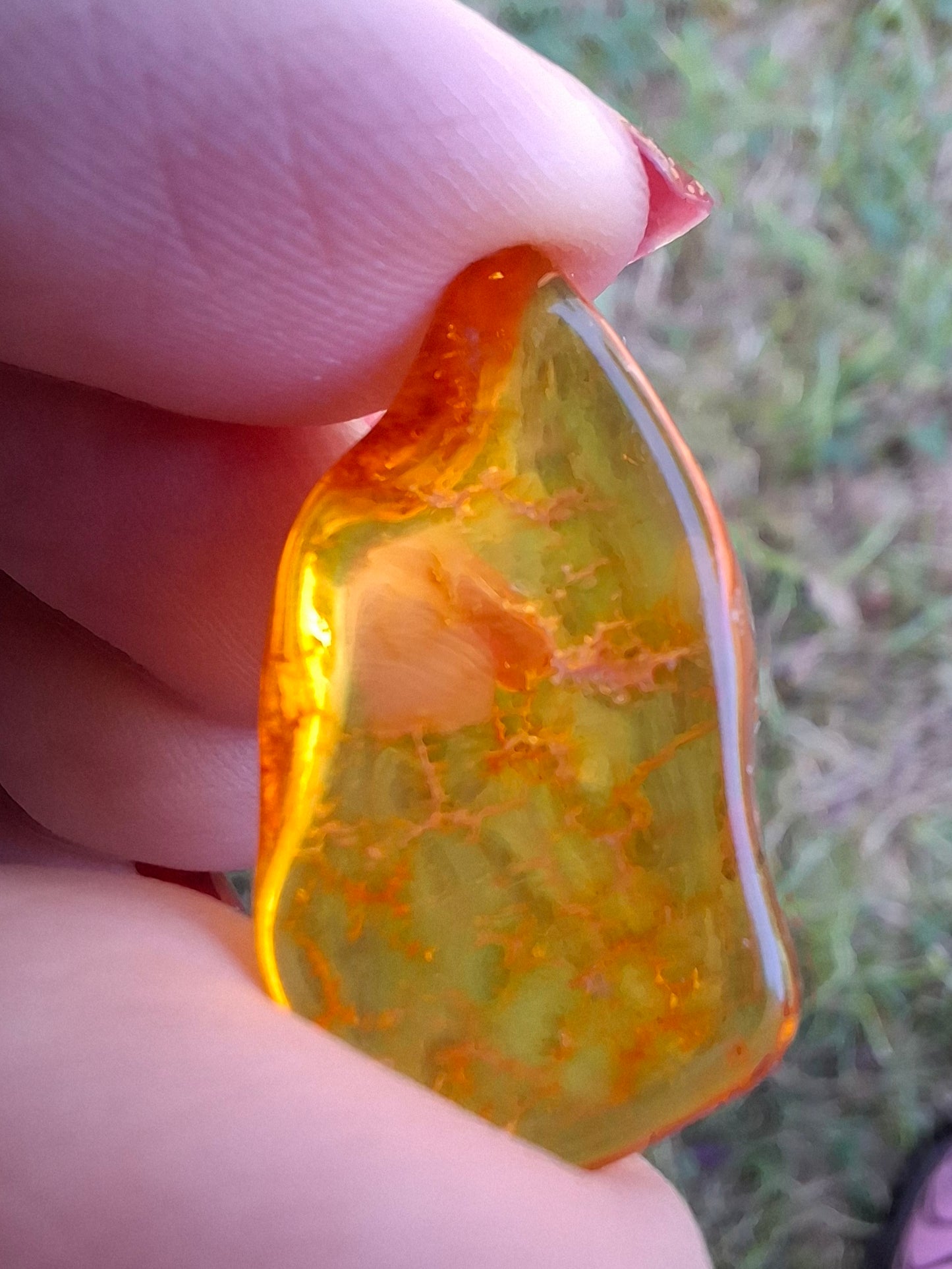 Baltic Amber, 1.16g, Fossil (Ref: A126)