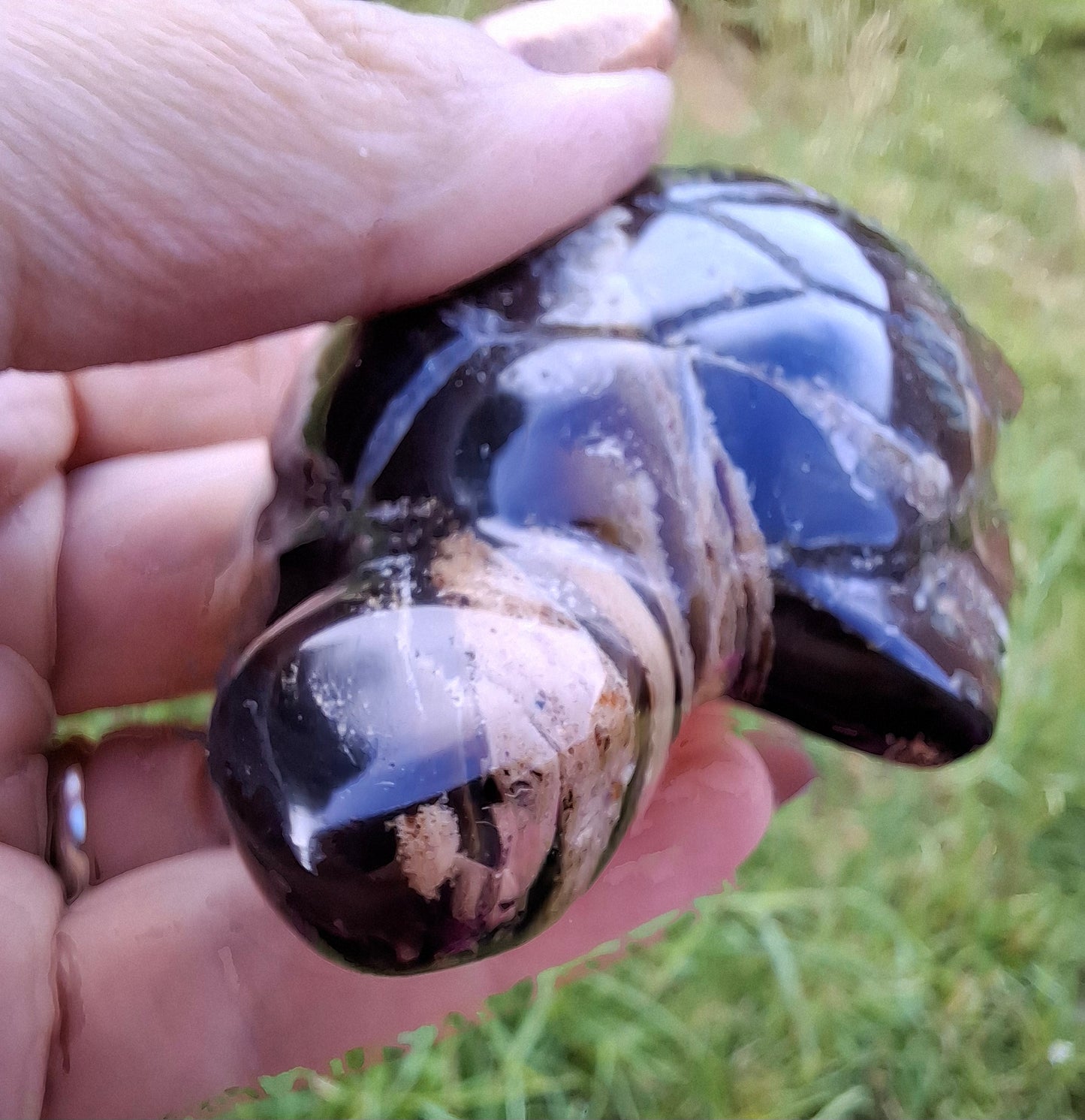Red Amber Turtle, 50.00g, Carving, Fossil (Ref: TT6)
