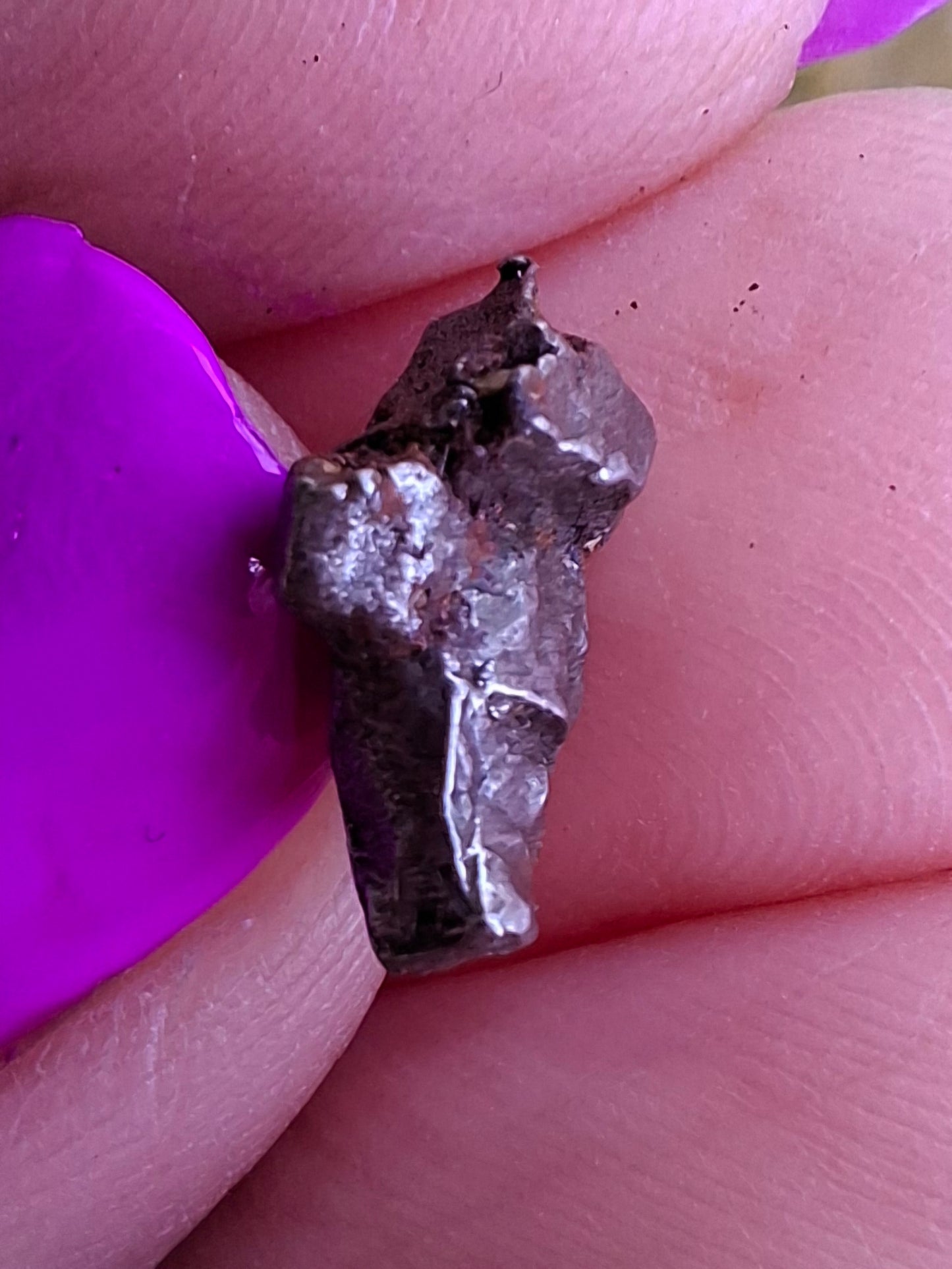 Campo del Cielo, 0.95g, Nickel Iron Meteorite (Ref: C2)