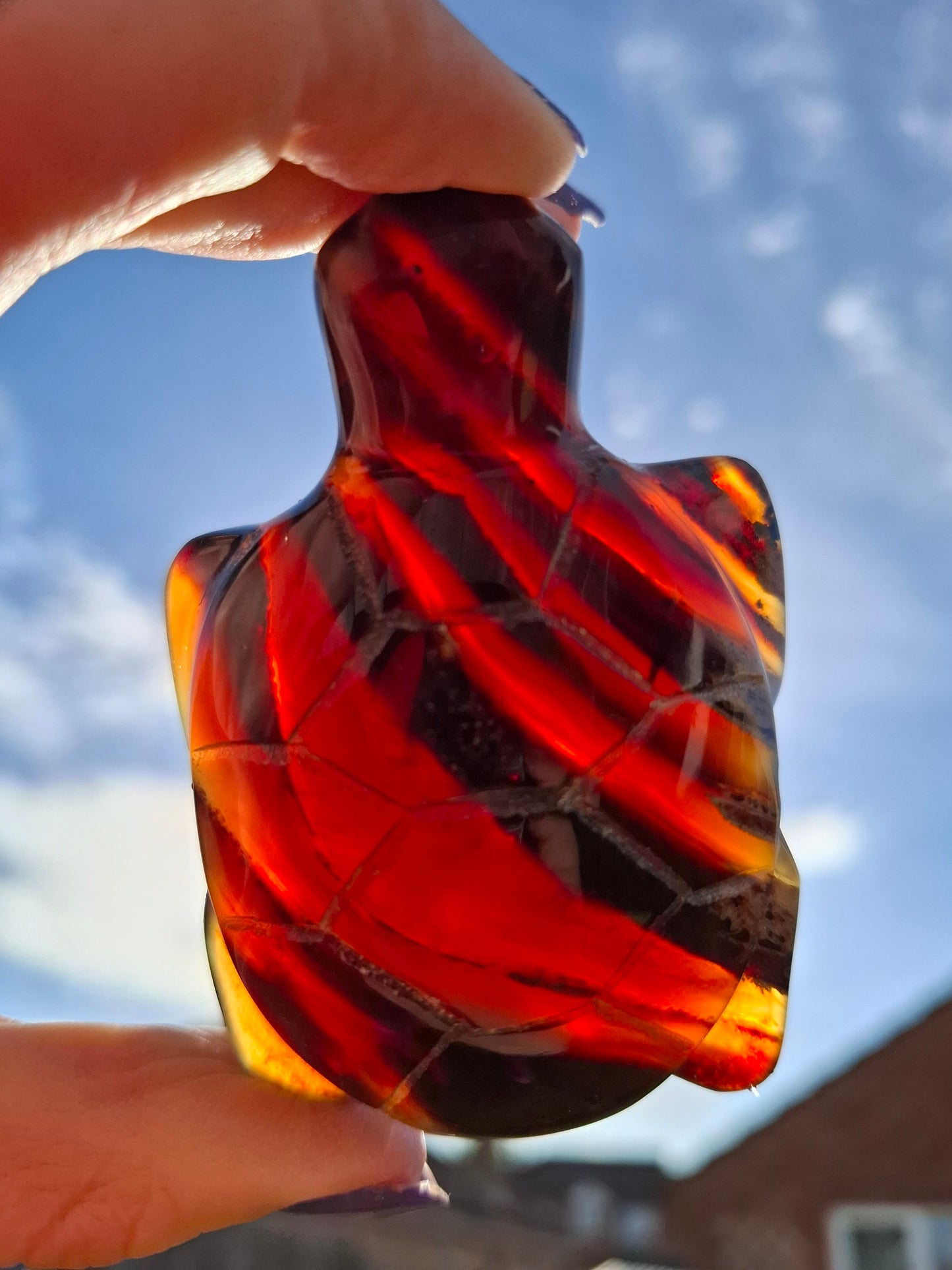 Red Amber Turtle, 47.85g, Carving, Fossil (Ref: TT4)