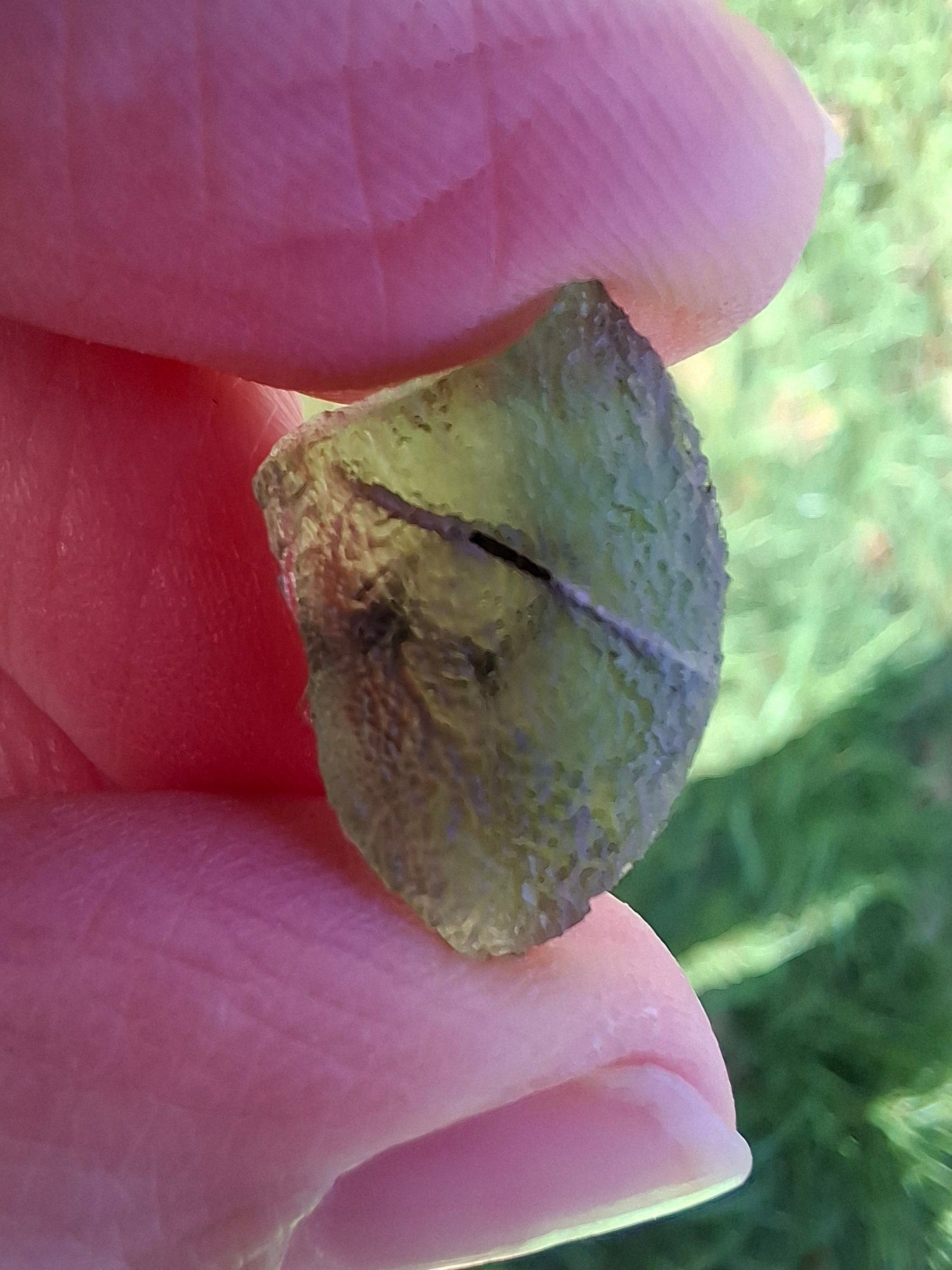 Moldavite Piece, 1.13g, Tektite (Ref: 1335)