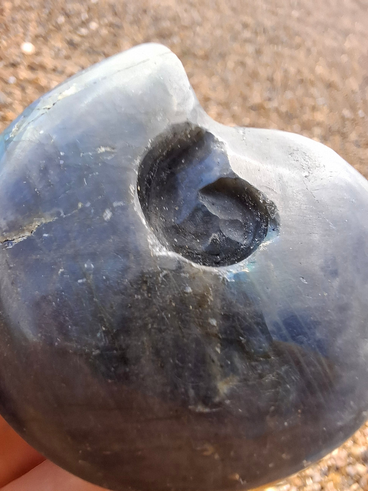 Labradorite Ammonite Carving, 111.66g, Crystal (Ref: laba3)