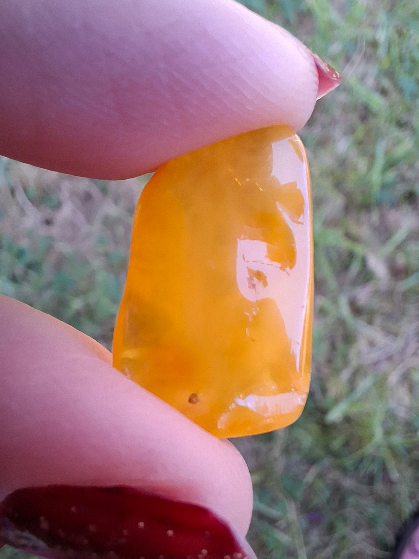 Baltic Amber, 1.20g, Fossil (Ref: A129)