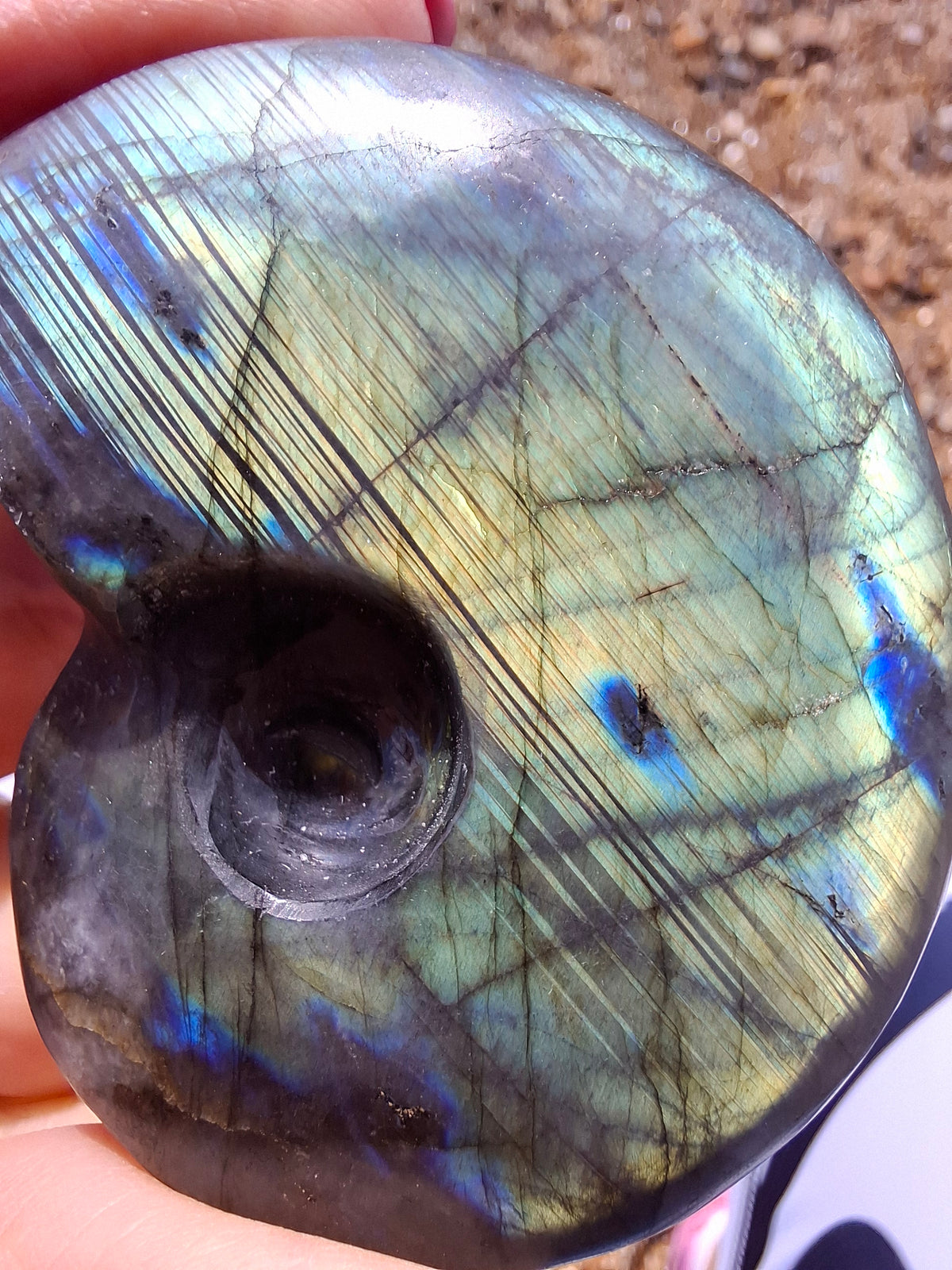 Labradorite Ammonite carving, 96.88g, Crystal (Ref: laba1)