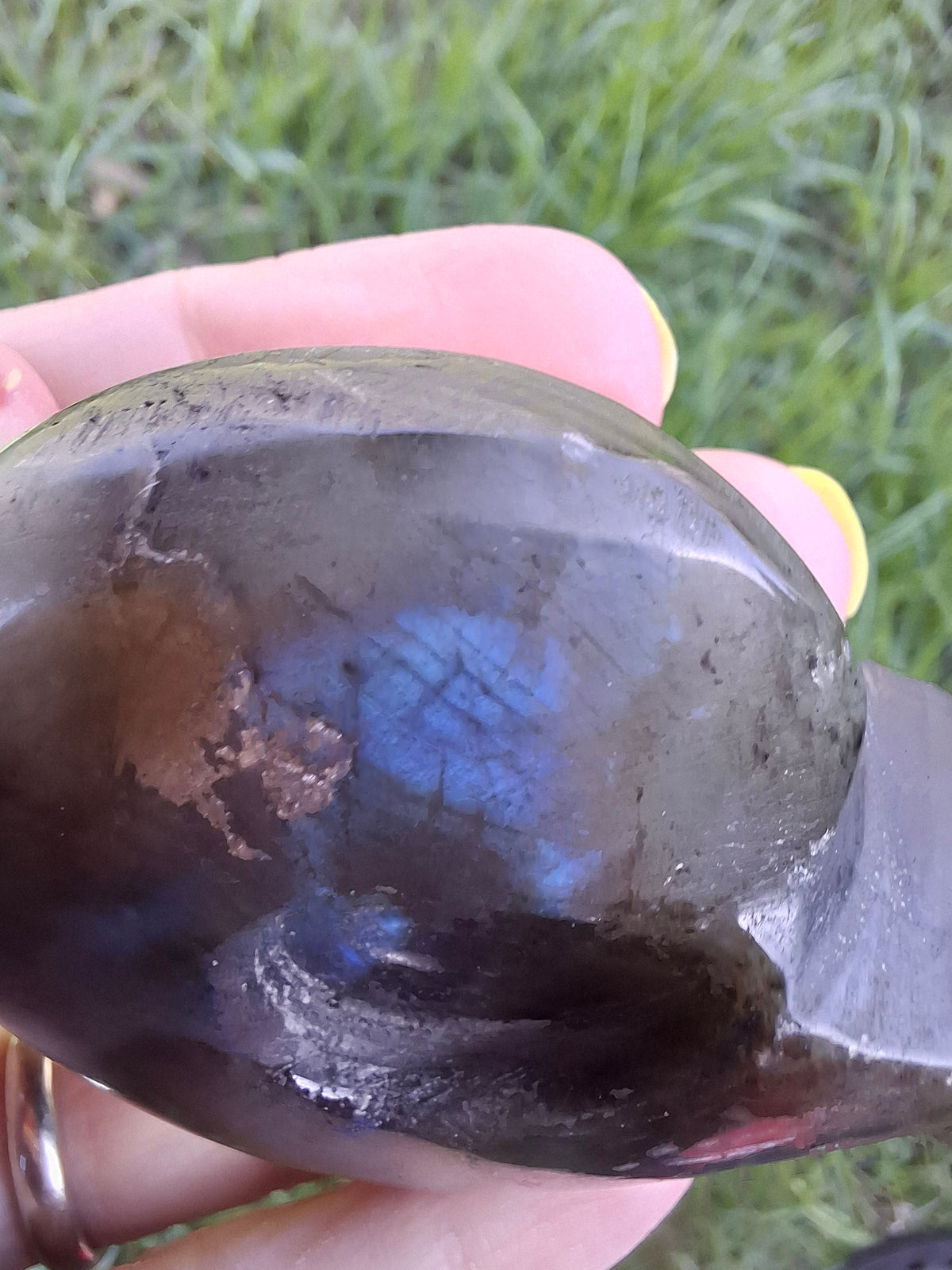 Labradorite Ammonite Carving, 146.90g, Crystal (Ref: laba5)