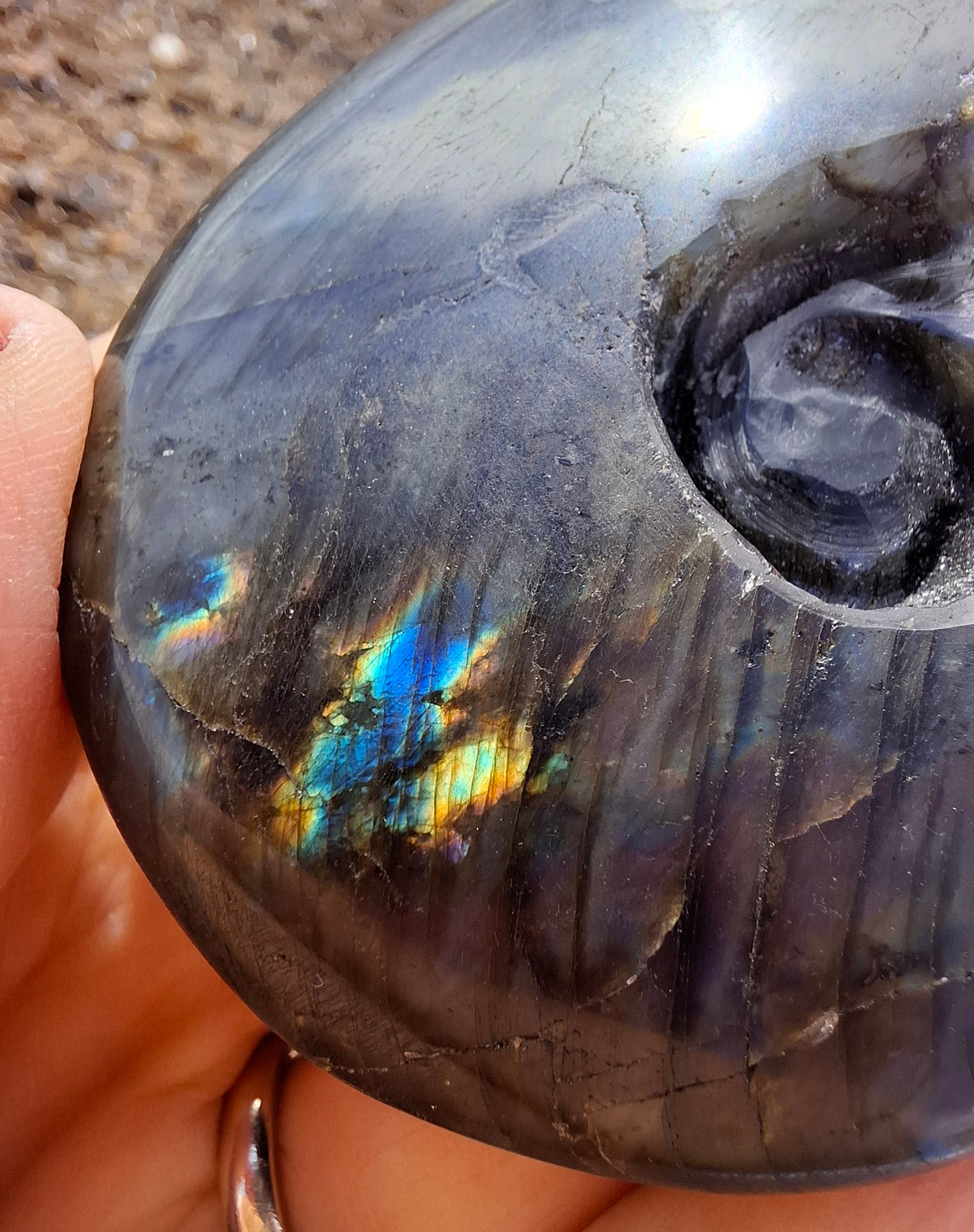 Labradorite Ammonite Carving, 153.97g, Crystal (Ref: laba2)