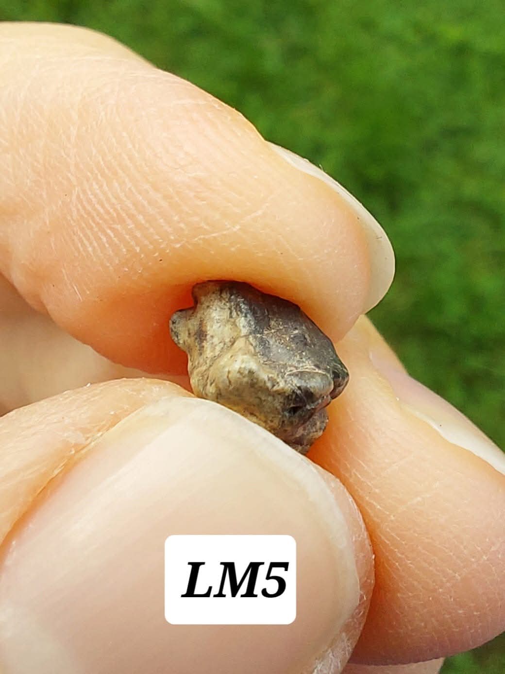 Lunar Meteorite, 0.32g, 'Moon Rock' (Ref: LM5)