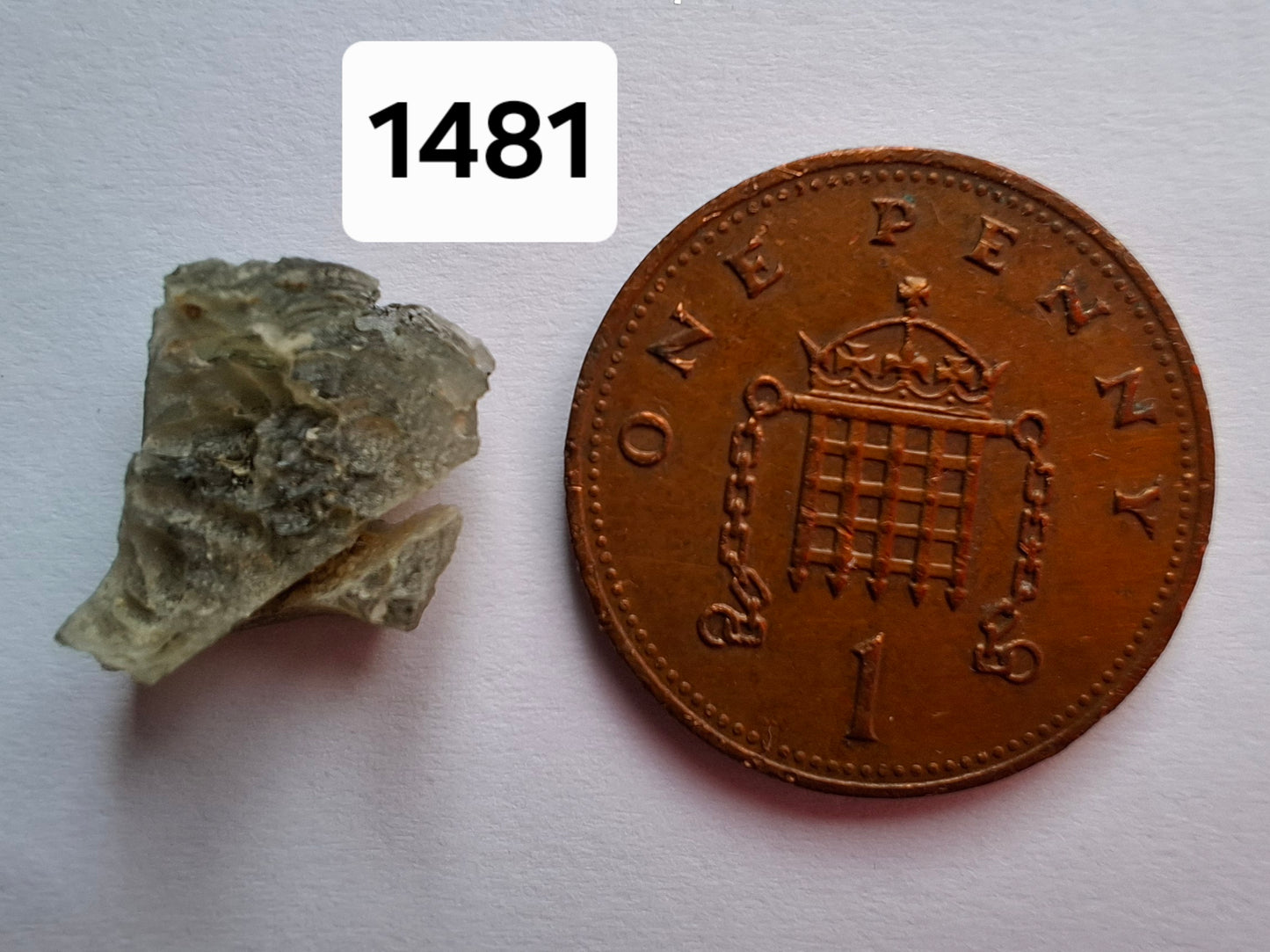 Moldavite Piece, 0.68g, Tektite (Ref: 1481)
