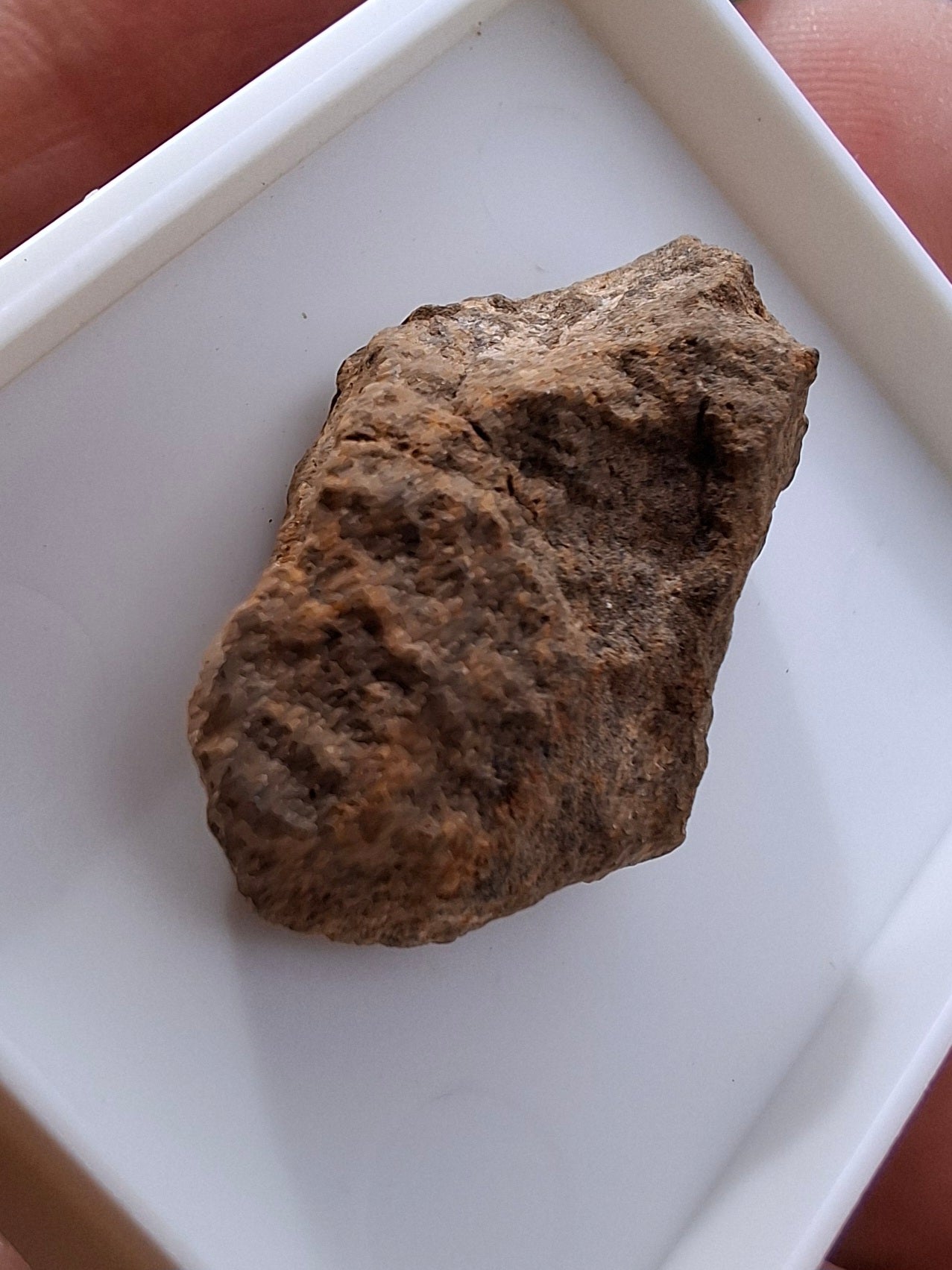 Chondrite, Meteorite (Ref: CM7)