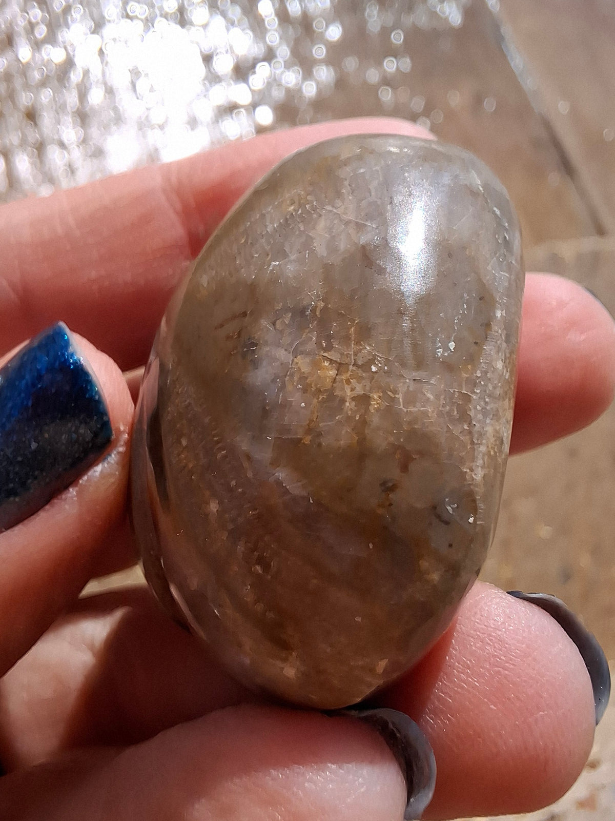 Polished Sea Urchin, Fossil (Ref: SU3)