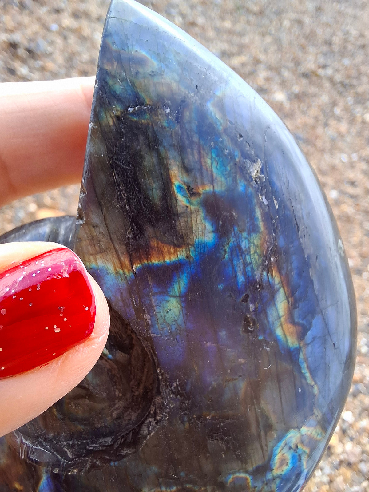 Labradorite Ammonite Carving, 153.97g, Crystal (Ref: laba2)