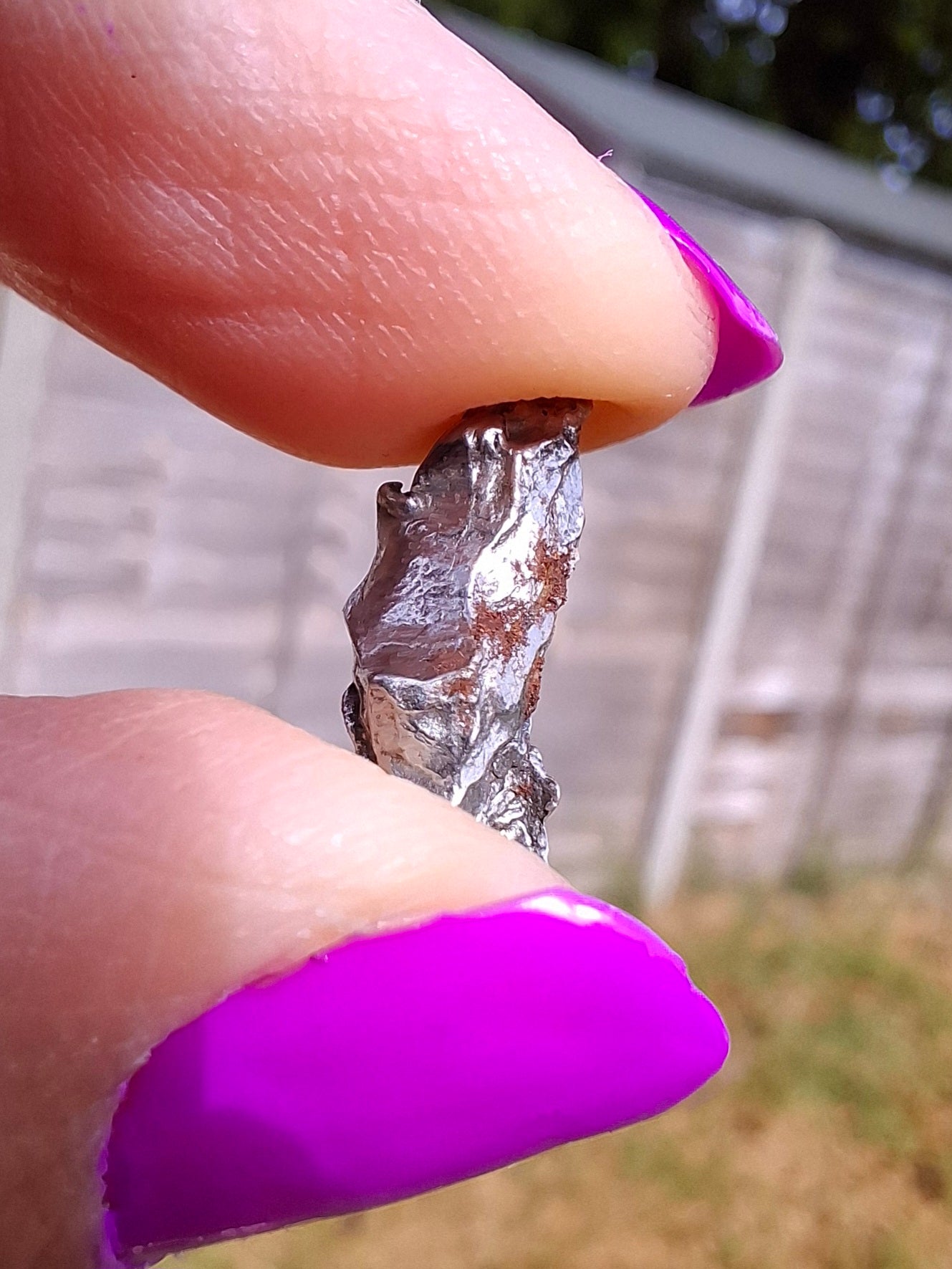 Campo del Cielo, 0.99g, Nickel Iron Meteorite (Ref: C8)