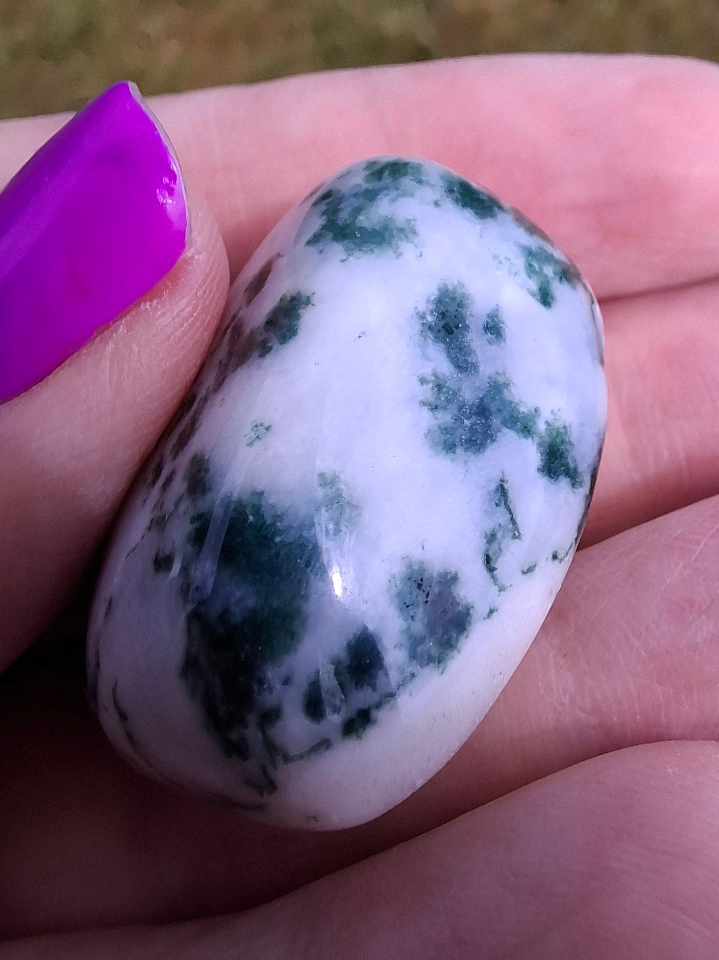 Tree Agate, Tumble Stone, Crystal (Ref: T1)