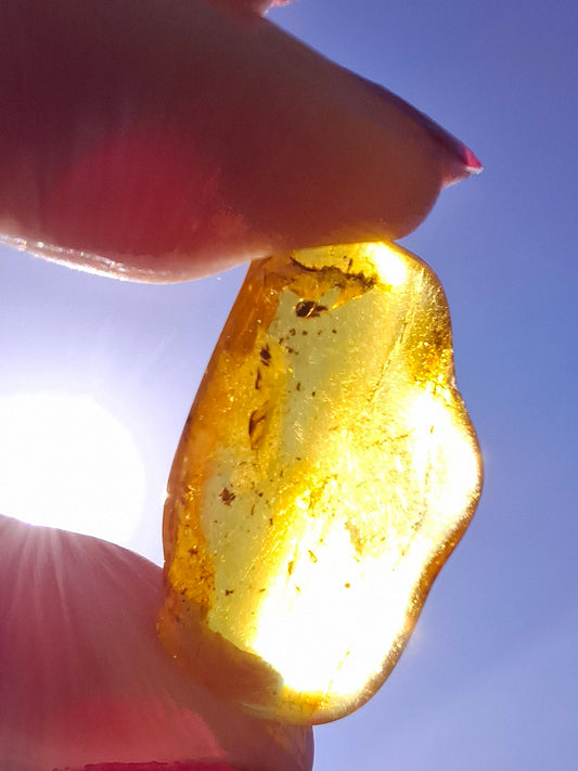 Baltic Amber, 1.23g, Fossil (Ref: A237)