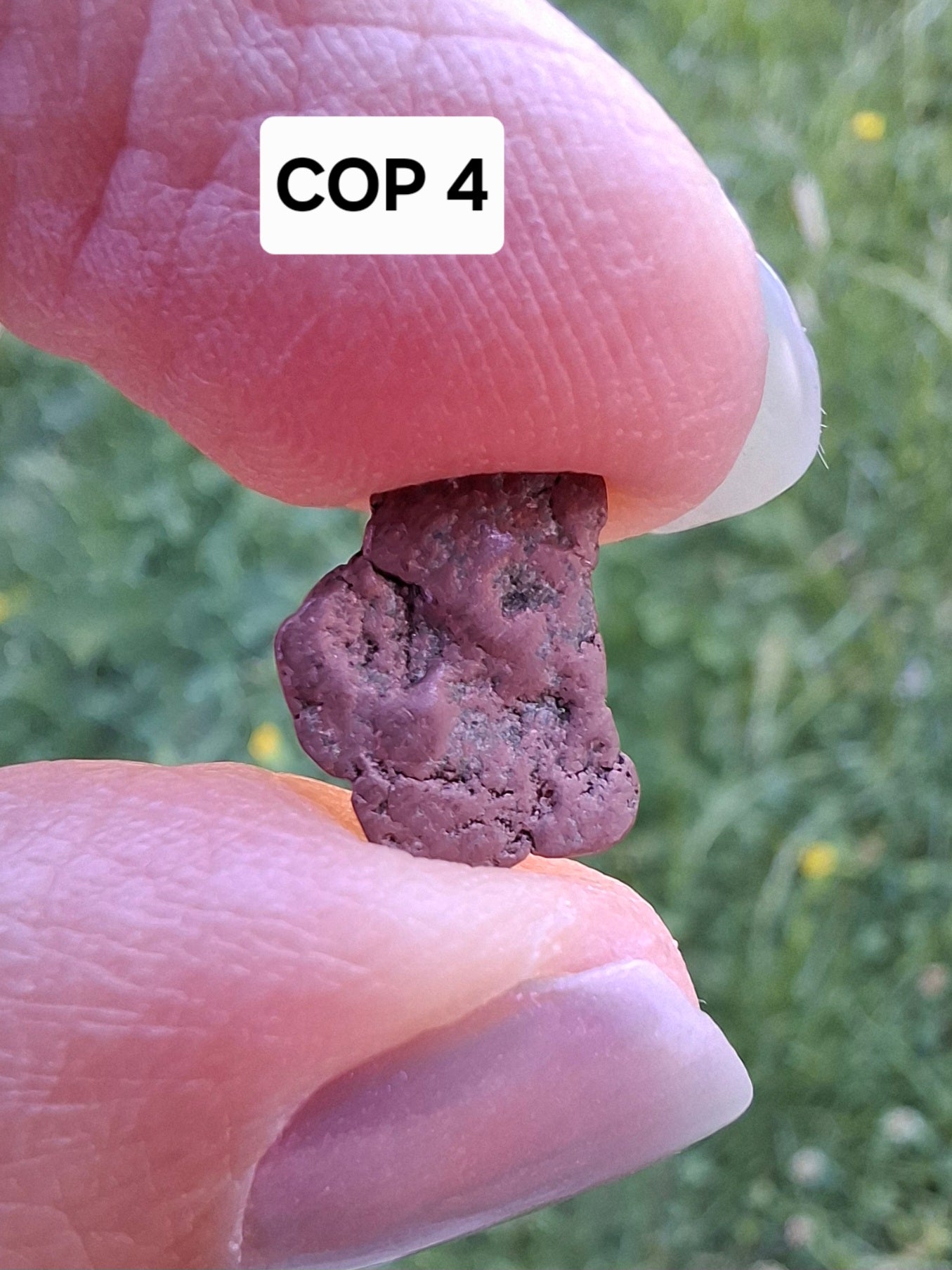 Native Copper Nugget, 0.50g, (Ref: COP4)