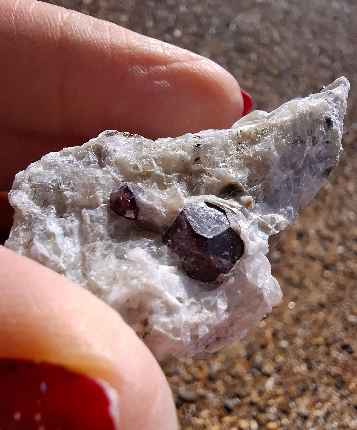 (Dig your own) Garnet in Matrix, Crystal (Ref: RG2)