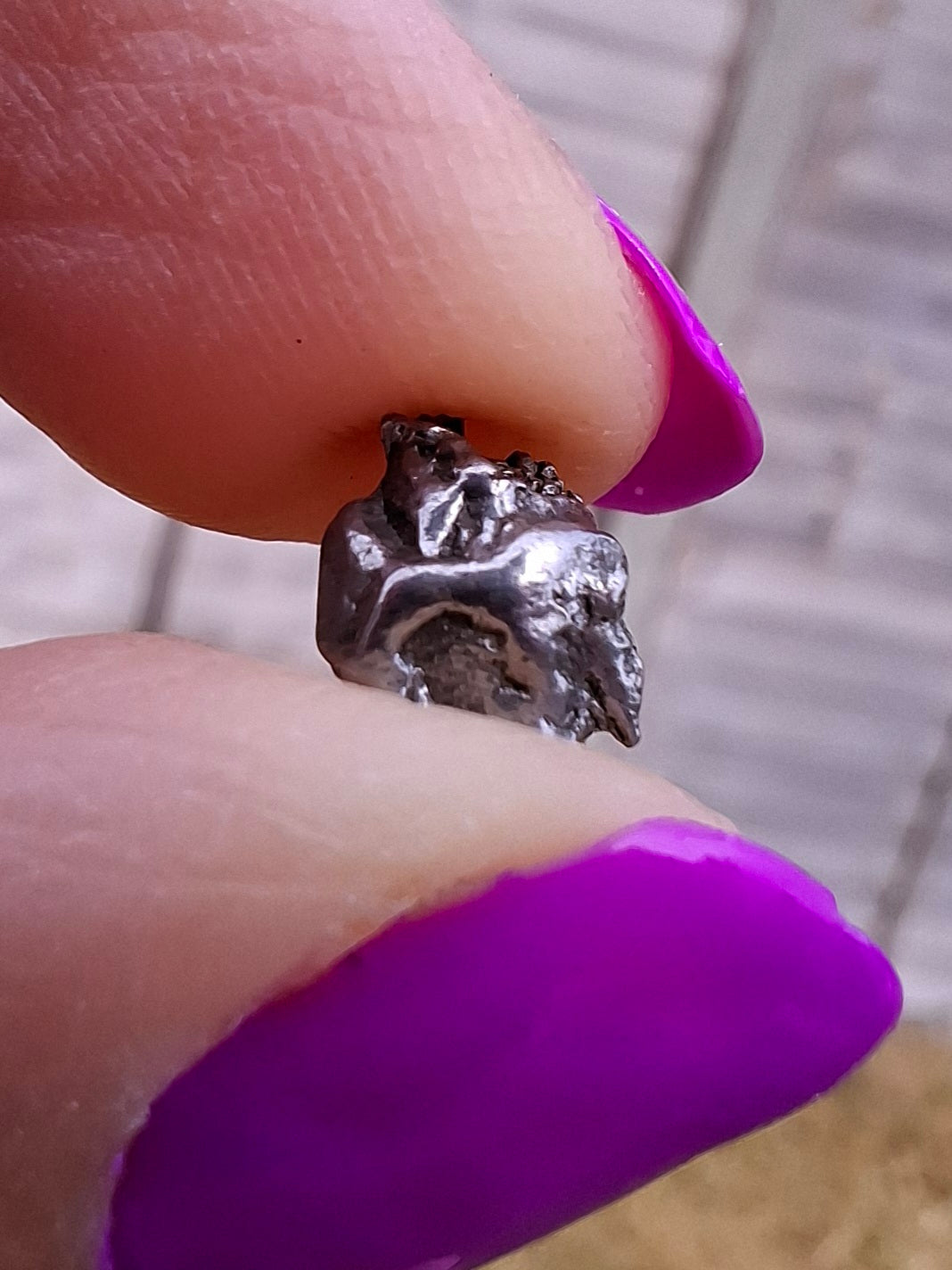 Campo del Cielo, 0.87g, Nickel Iron Meteorite (Ref: C4)