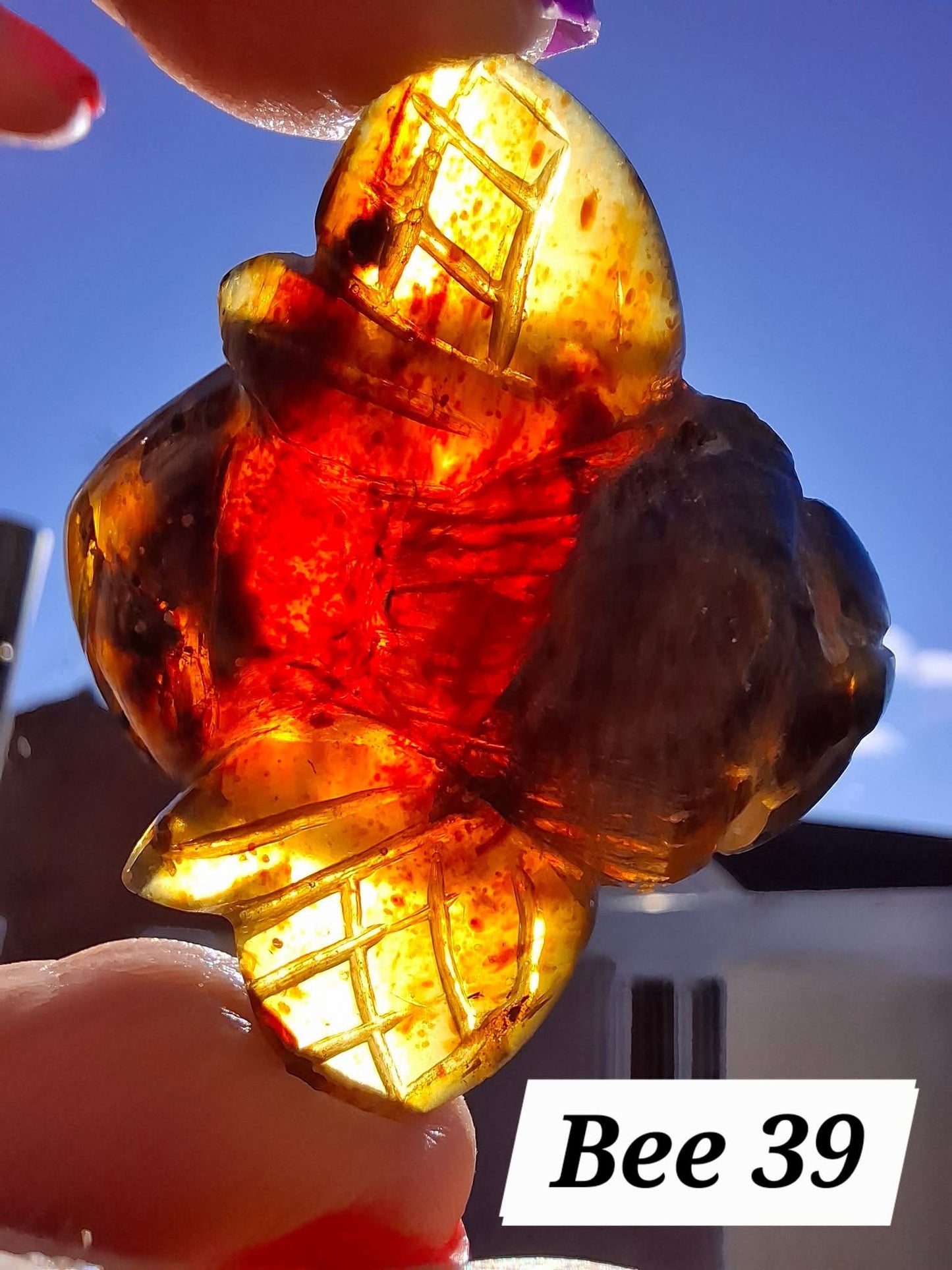 Red Amber Honey Bee Carving, 10.66g, Fossil (Ref: Bee39)