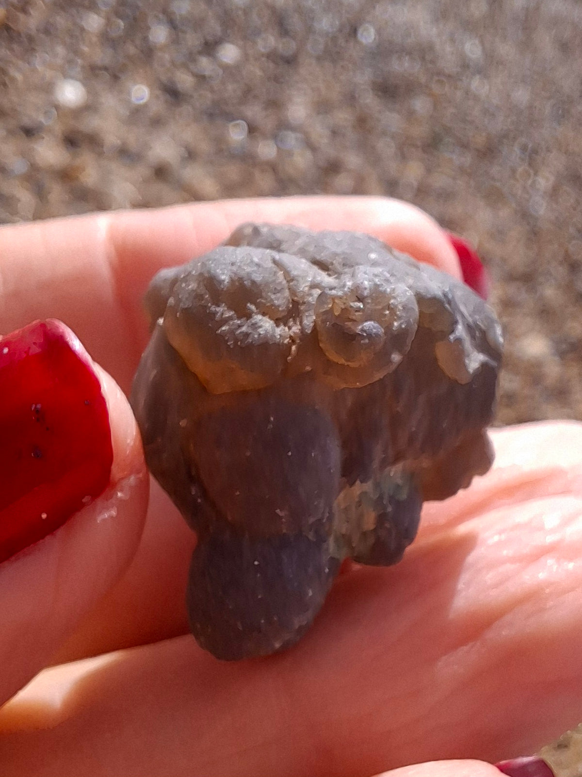 Nebula Chalcedony, 13.45g, Fossil (Ref: NC2)