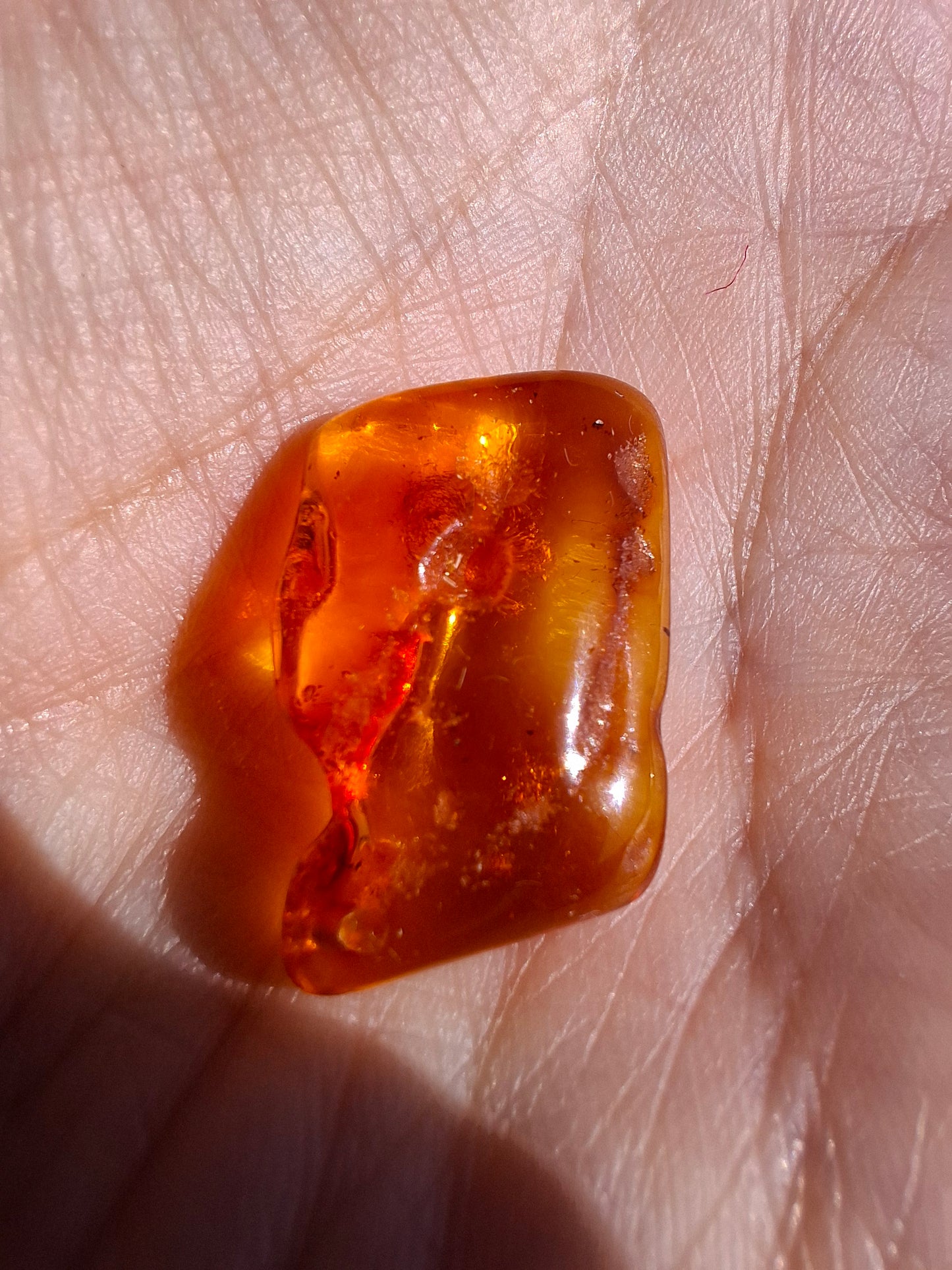Baltic Amber, 1.40g, Fossil (Ref: A187)