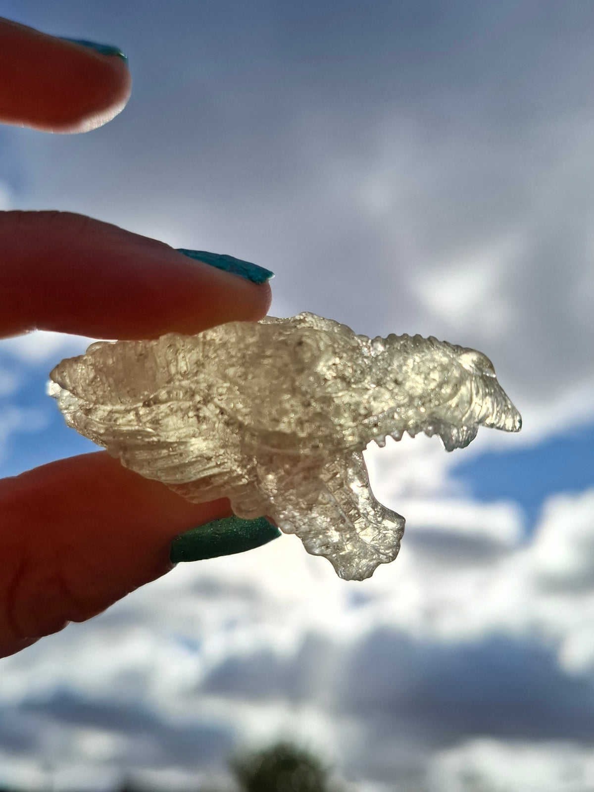 Libyan Desert Glass DRAGON HEAD carving, 22.42g, Tektite (Ref: Dragon 2)