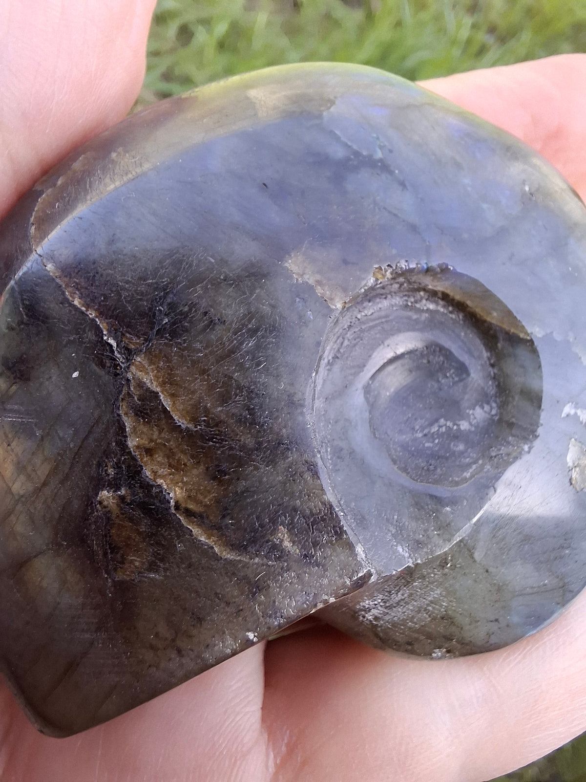 Labradorite Ammonite Carving, 146.90g, Crystal (Ref: laba5)