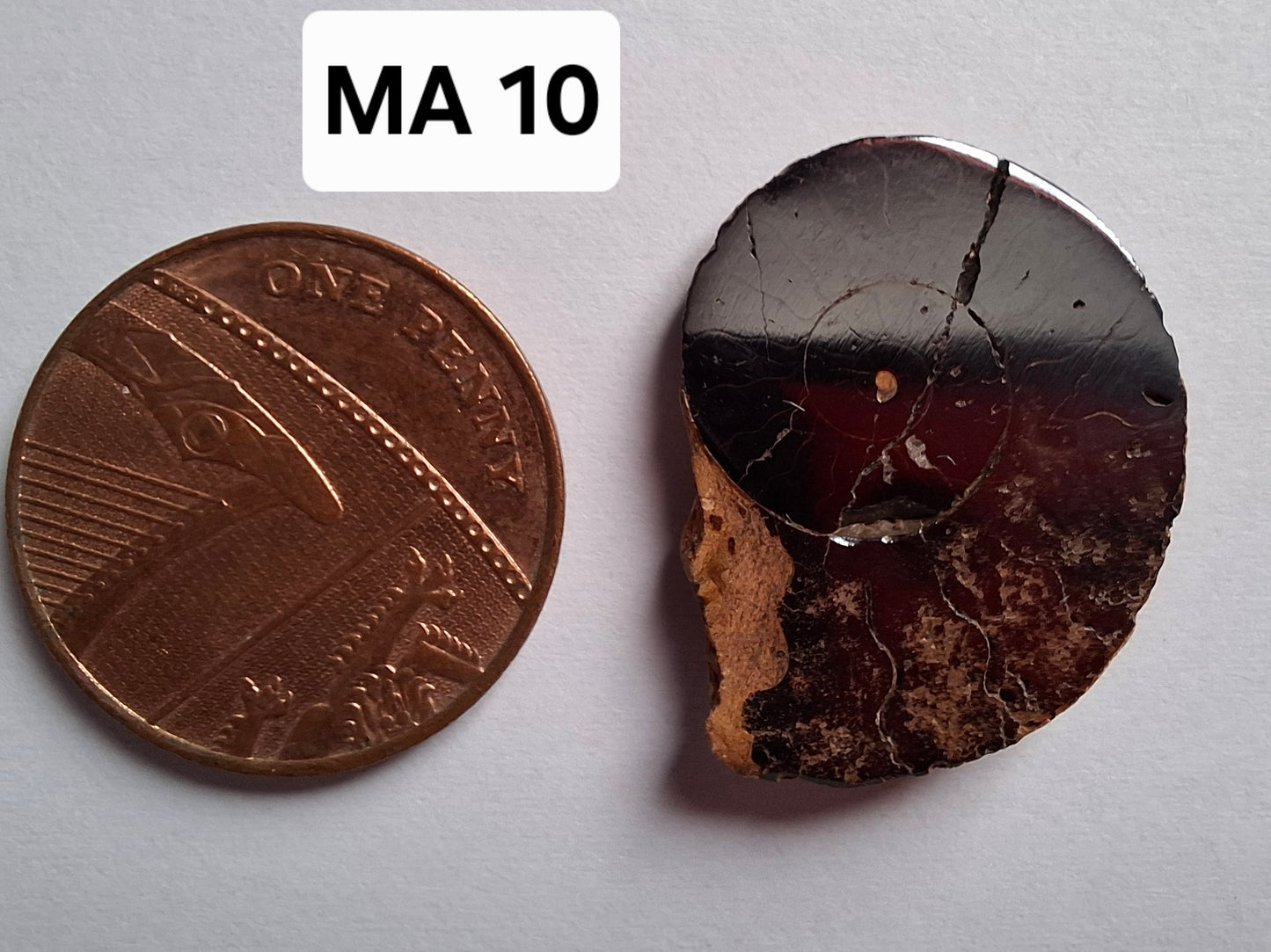 Small Haematite Ammonite HALF, 2.24g, Fossil (Ref: MA10)