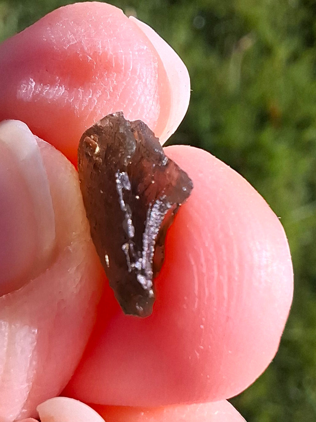 Moldavite Small Piece. 0.35g, Tektite (Ref: 1329)