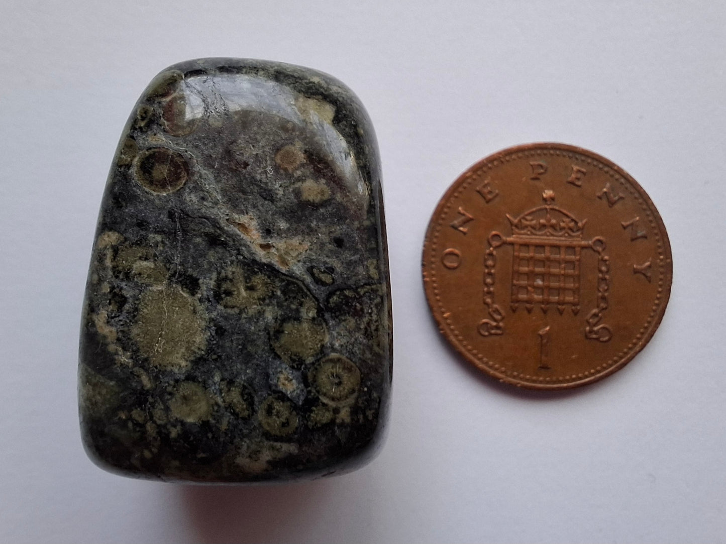 Kambaba Jasper, Tumble Stone, Crystal (Ref: T164)
