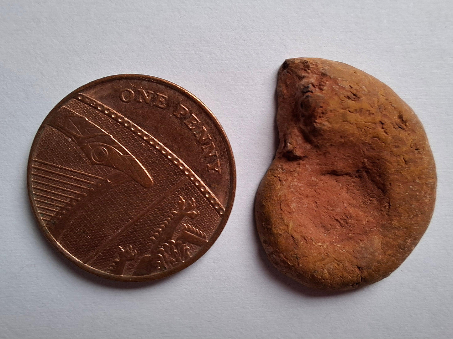 Small Haematite Ammonite HALF, (2.91g), Fossil (Ref: MA1)