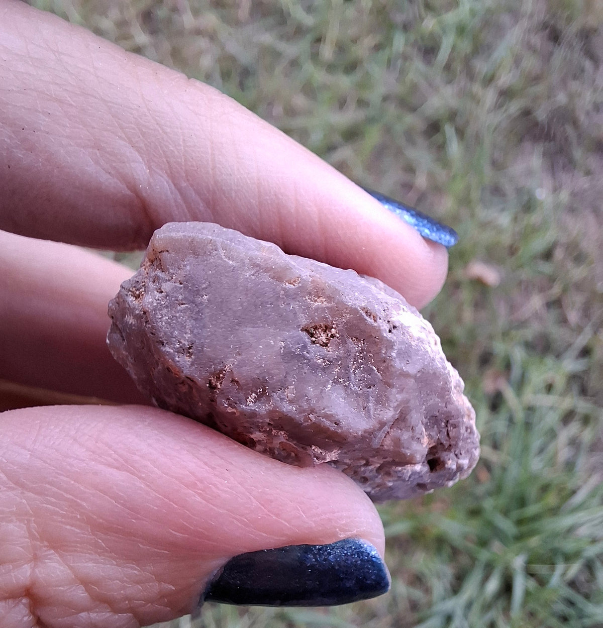 Chalcedony Oyster, Fossil (Ref: FO10)