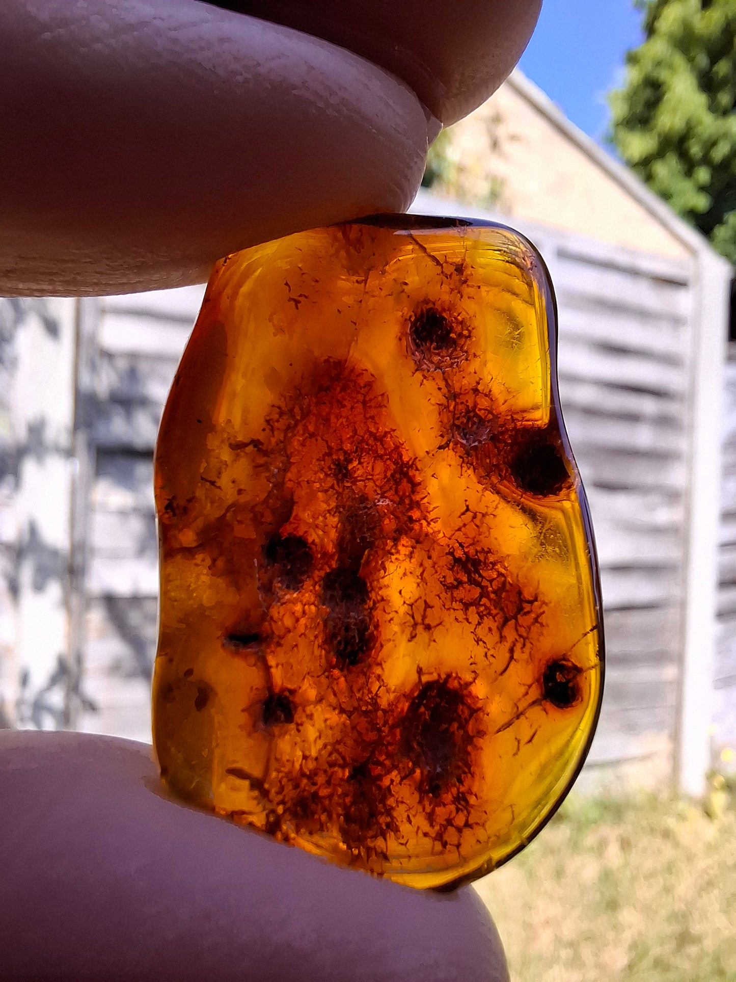 Baltic Amber, 4.50g, Fossil (Ref: A151)