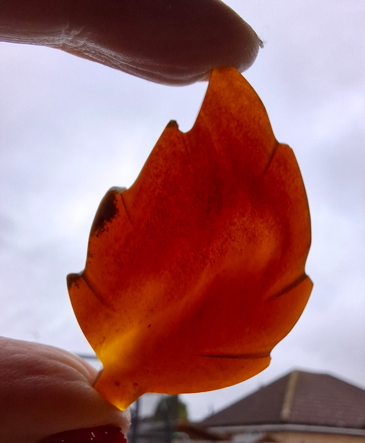 Red Amber Leaf Carving, 7.03g, Fossil (Ref: Leaf11)