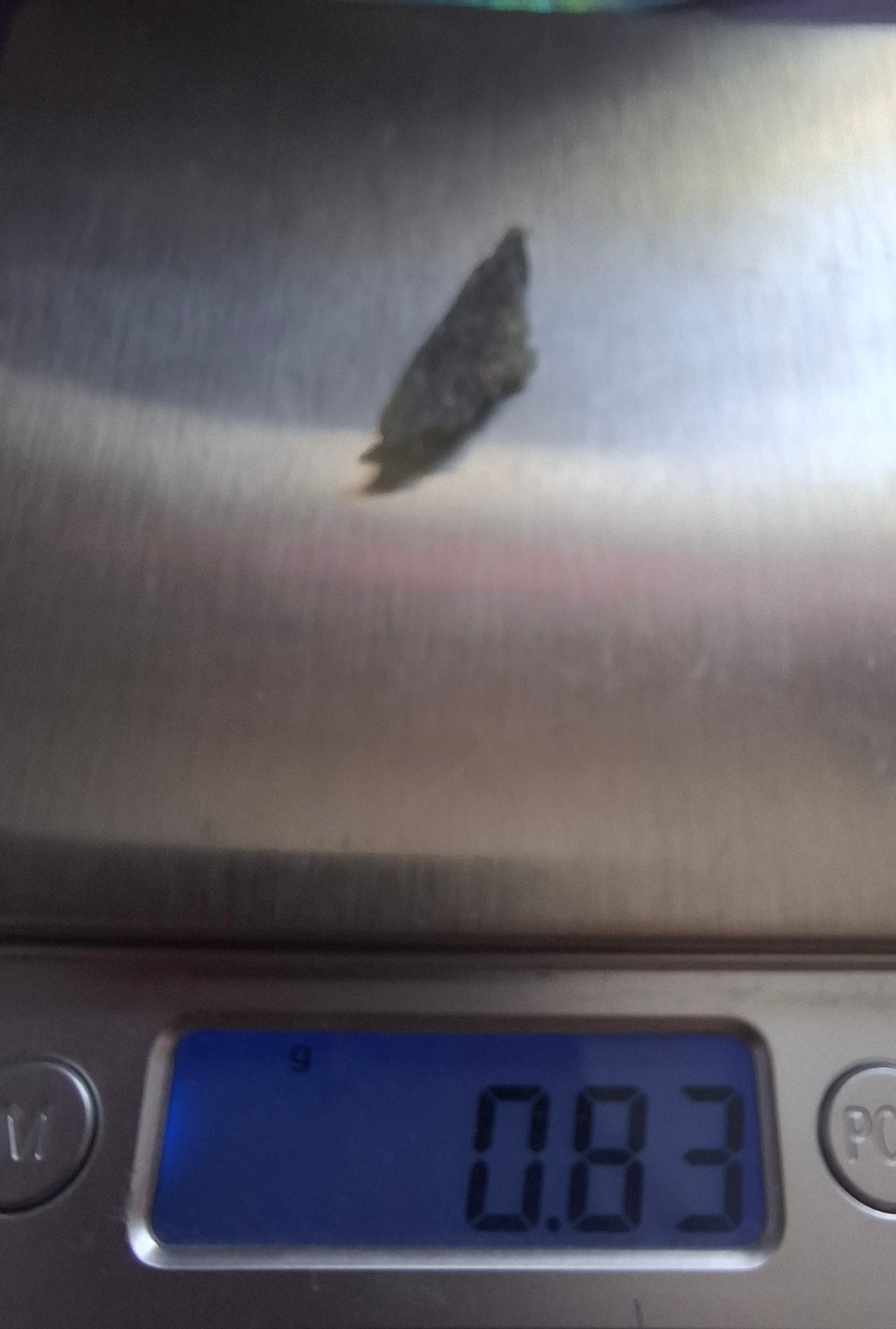 Moldavite Piece, 0.83g, Tektite (Ref: 1362)