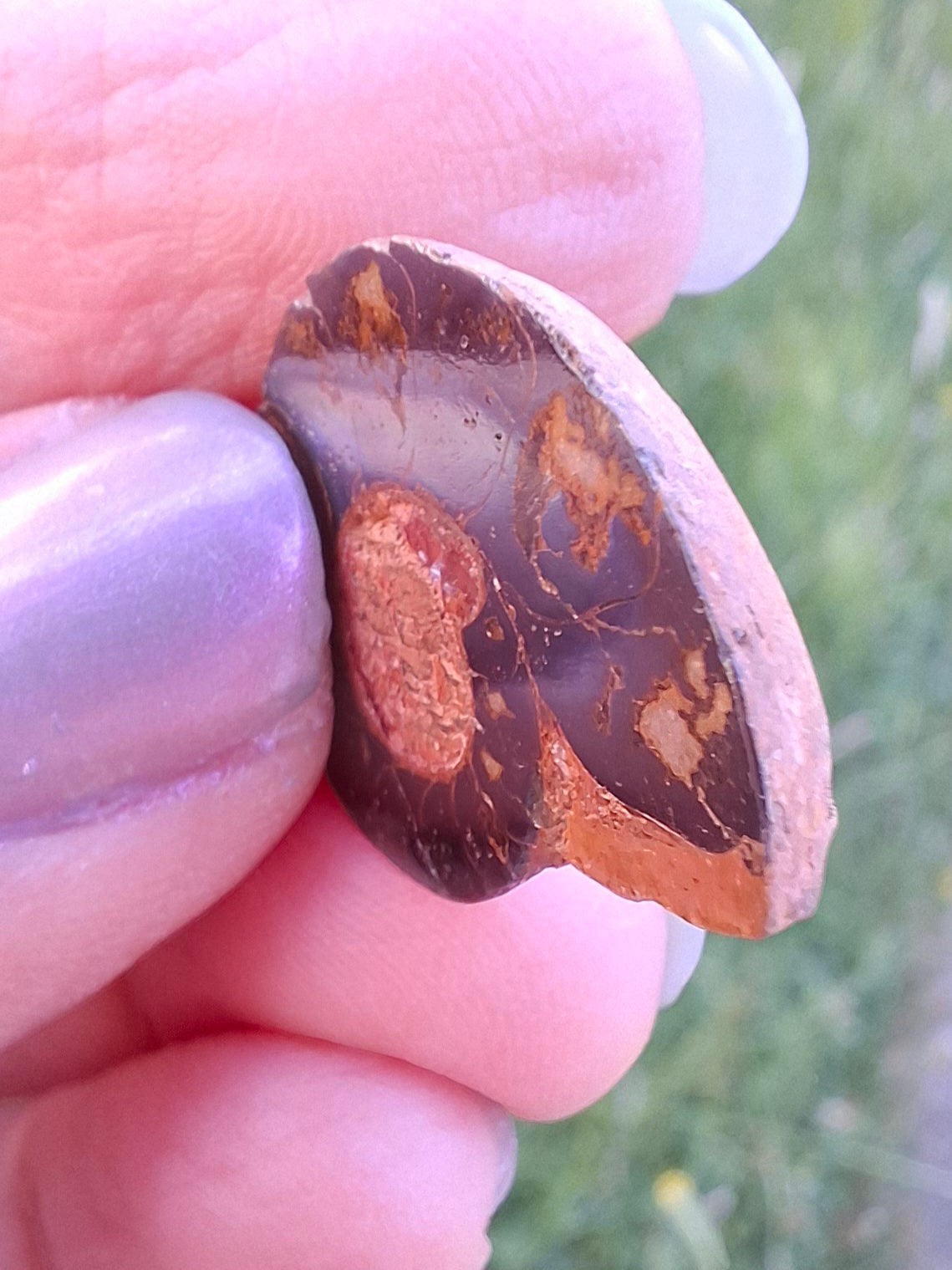 Small Haematite Ammonite HALF, (2.91g), Fossil (Ref: MA1)