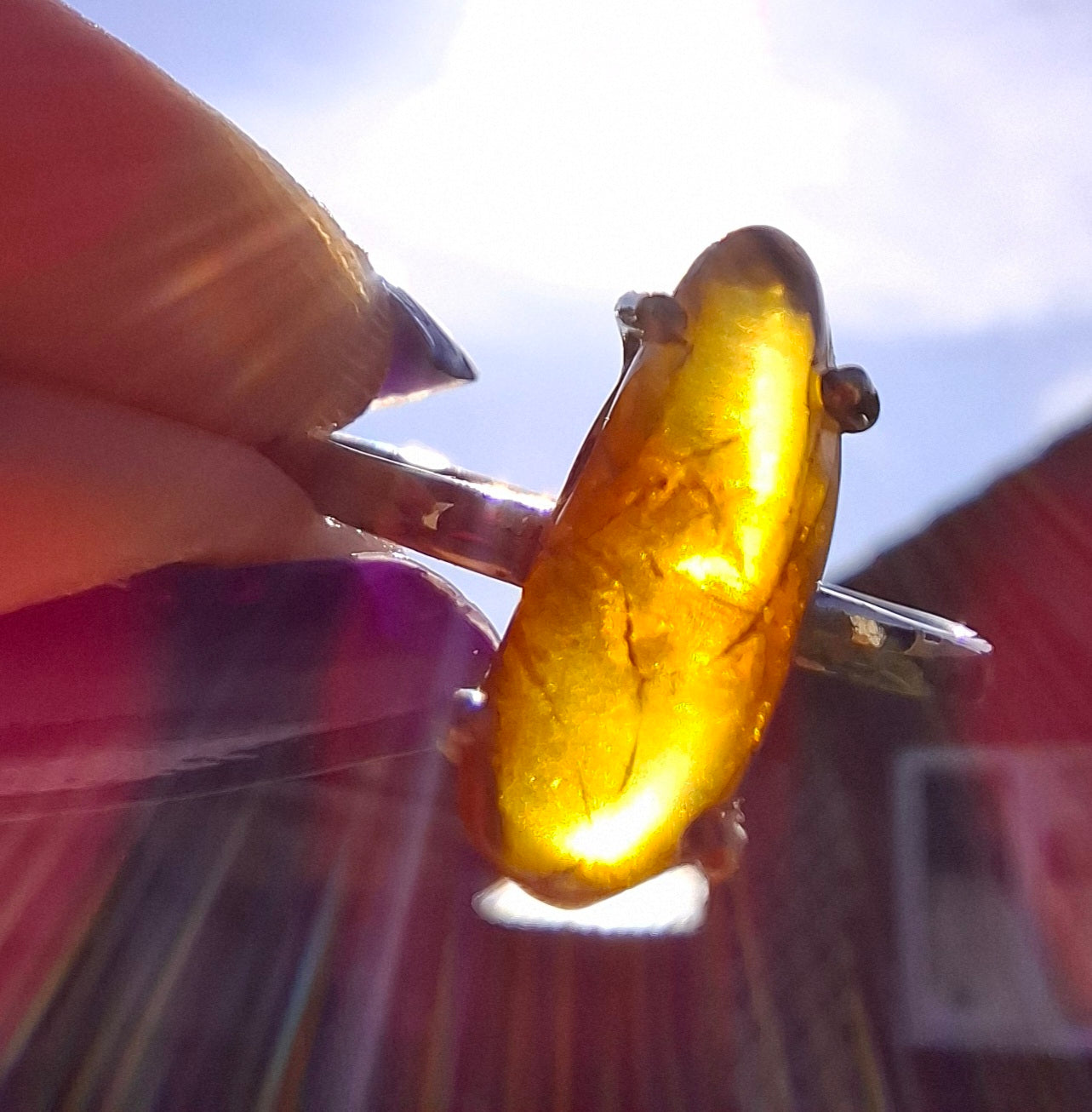 Baltic Amber Ring, size large V, 925 Silver, Fossil (Ref: AR25)