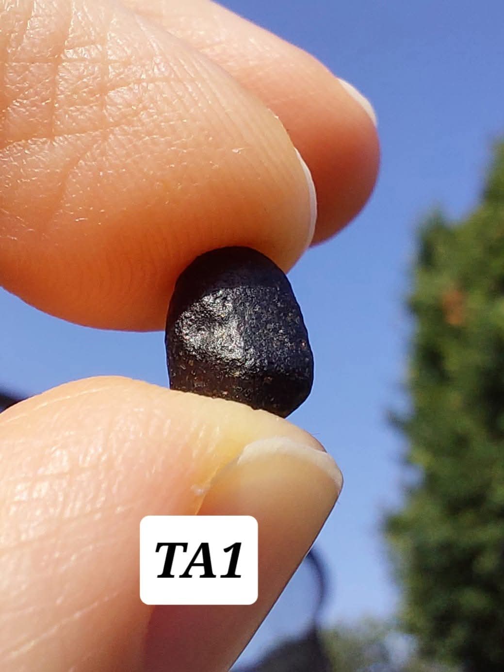 Atacamite, 0.43g, Tektite (Ref: TA1)