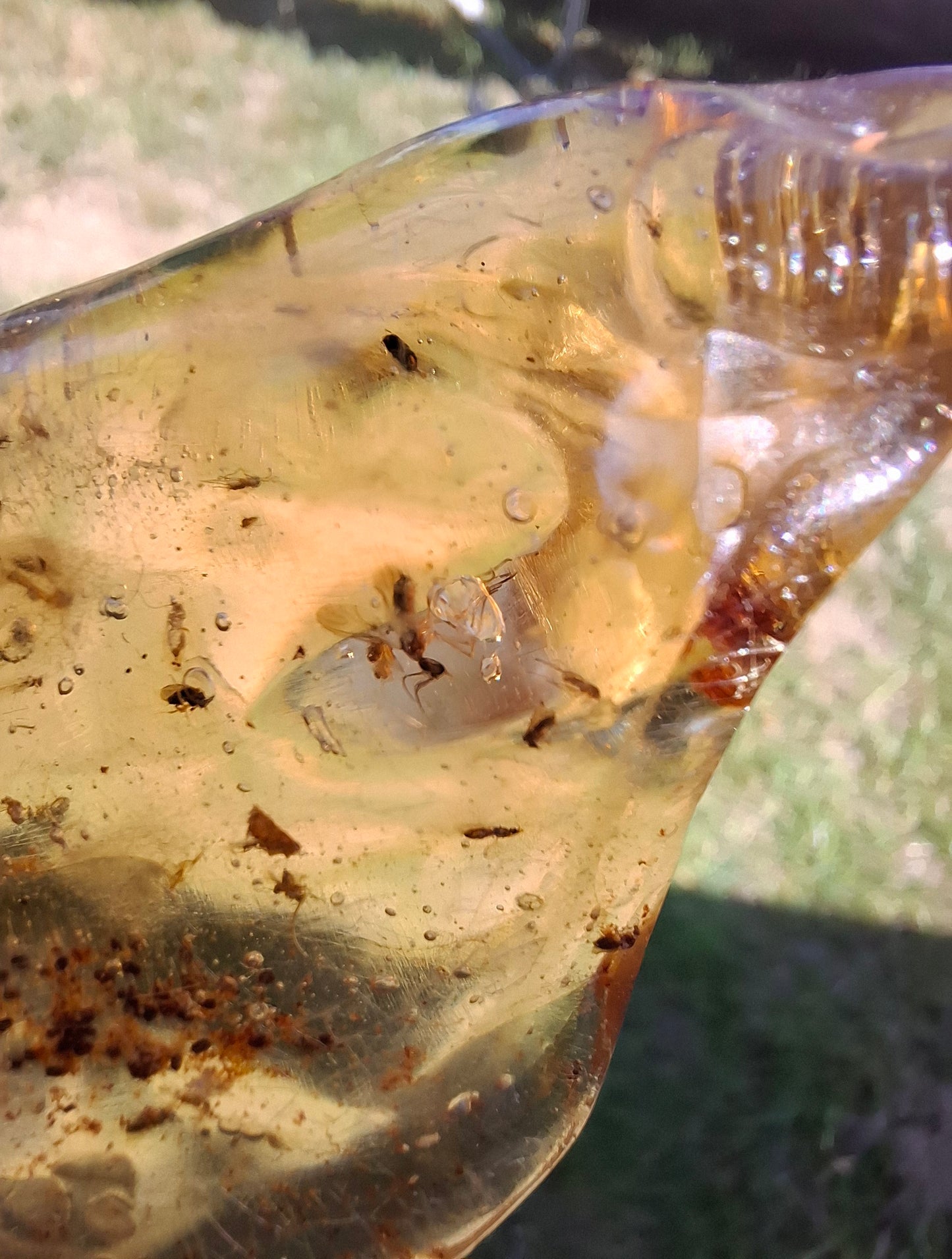 Copal Young Amber with INSECTS inside, 28.43g, Fossil (Ref: CA10)