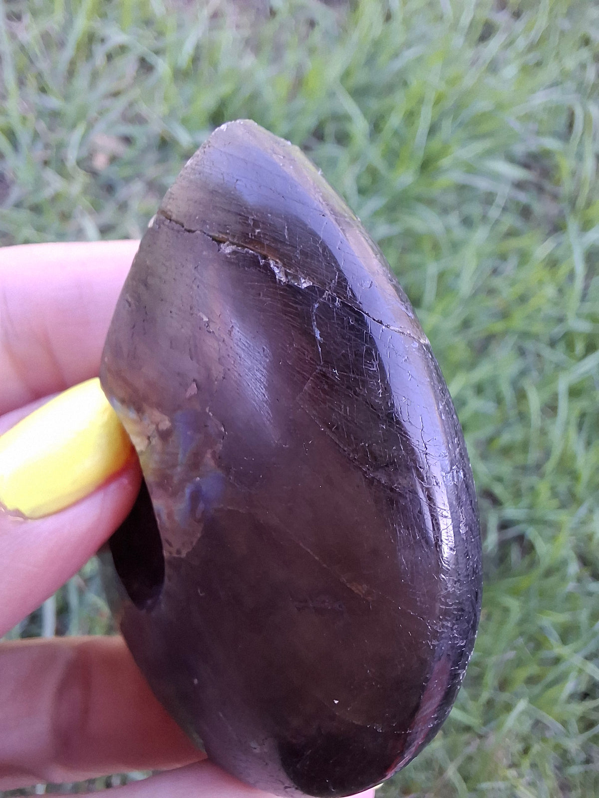 Labradorite Ammonite Carving, 89.31g, Crystal (Ref: laba6)