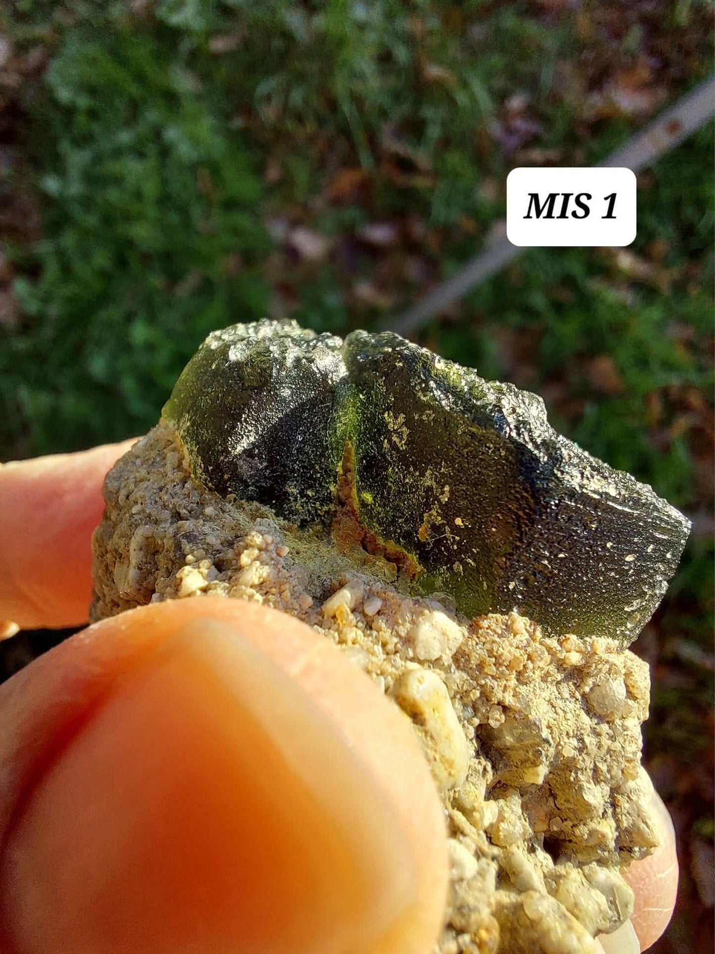 Moldavite In-Situ (in matrix), Besednice, Est-13g, Tektite (Ref: MIS1)