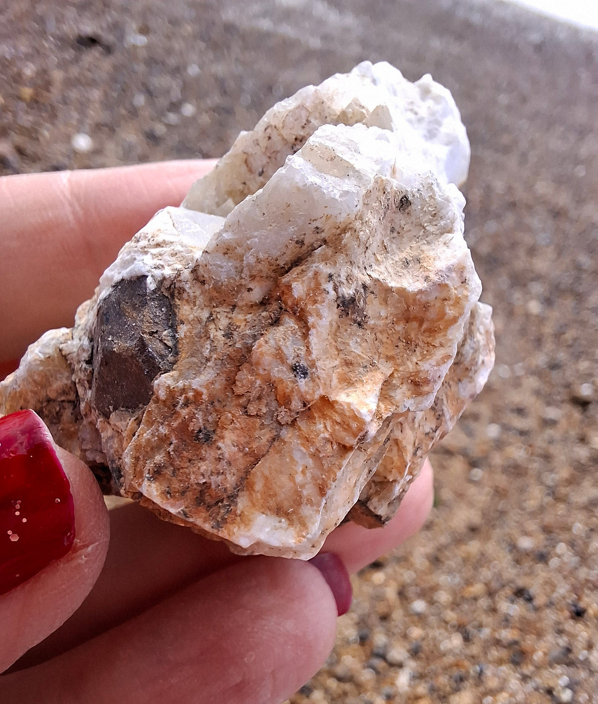 (Dig your own) Garnet in Matrix, Crystal (Ref: RG1)