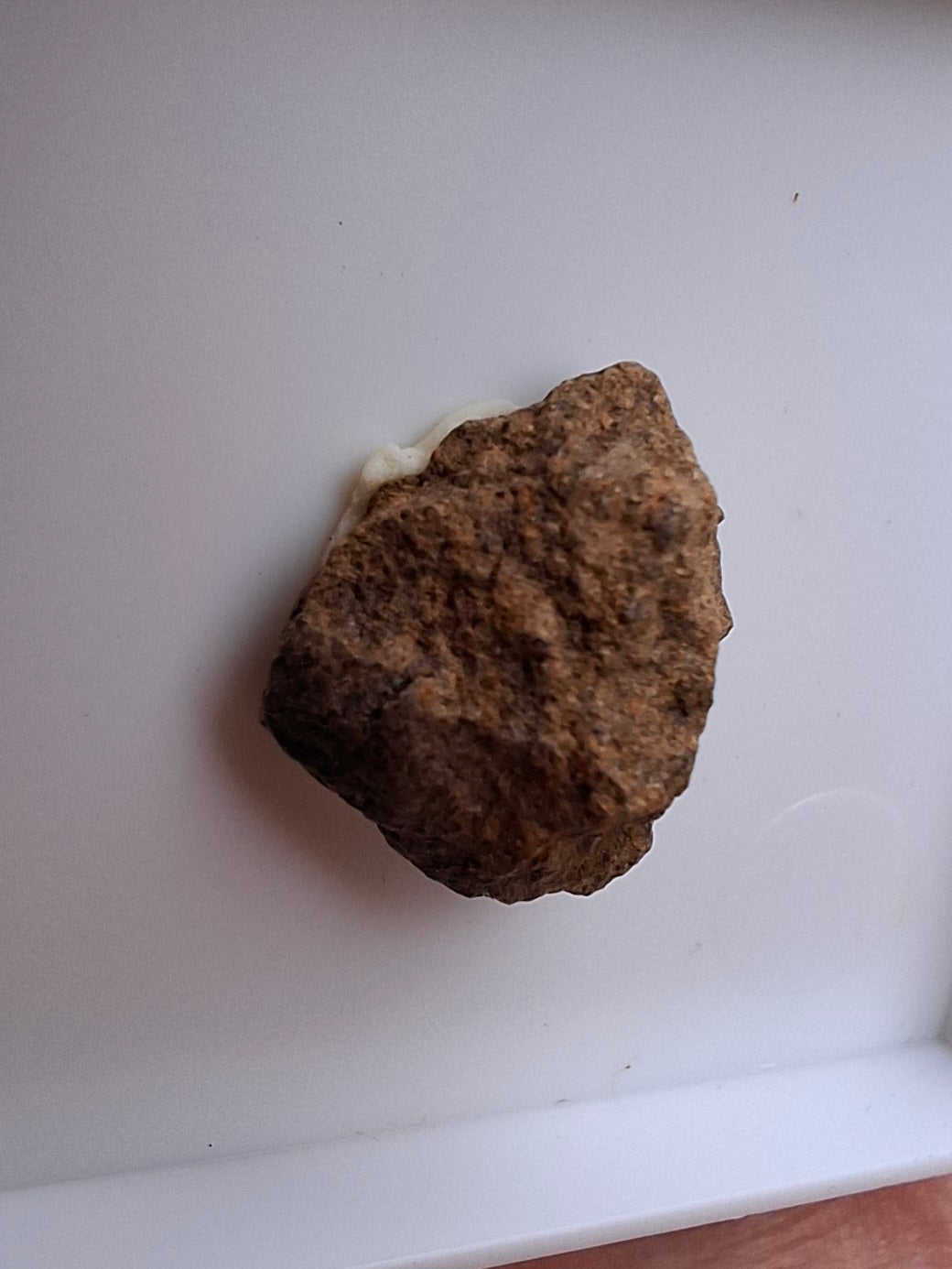 Chondrite, Meteorite (Ref: CM9)