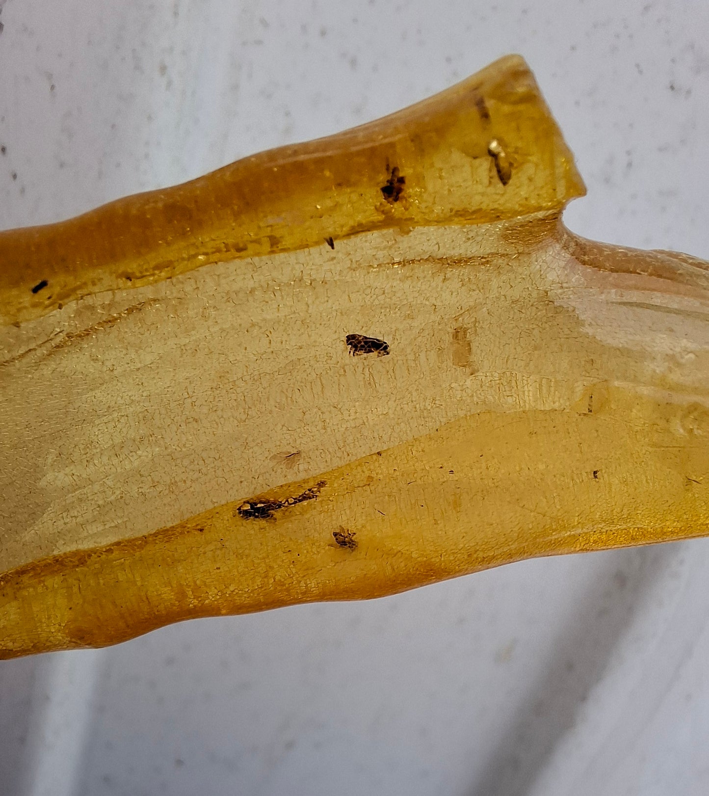Copal Young Amber with INSECTS inside, 10.79g, Fossil (Ref: CA14)