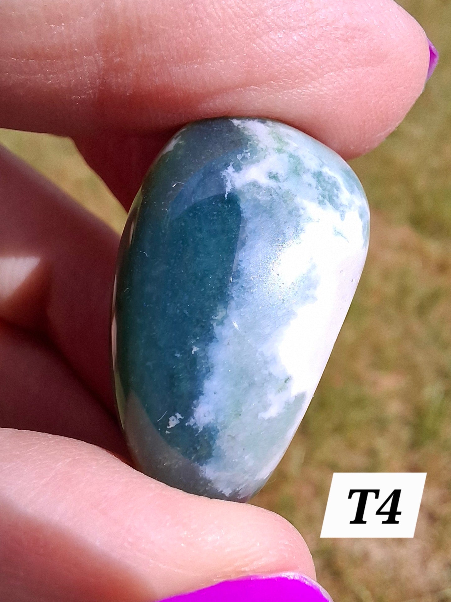 Tree Agate, Tumble Stone, Crystal (Ref: T4)