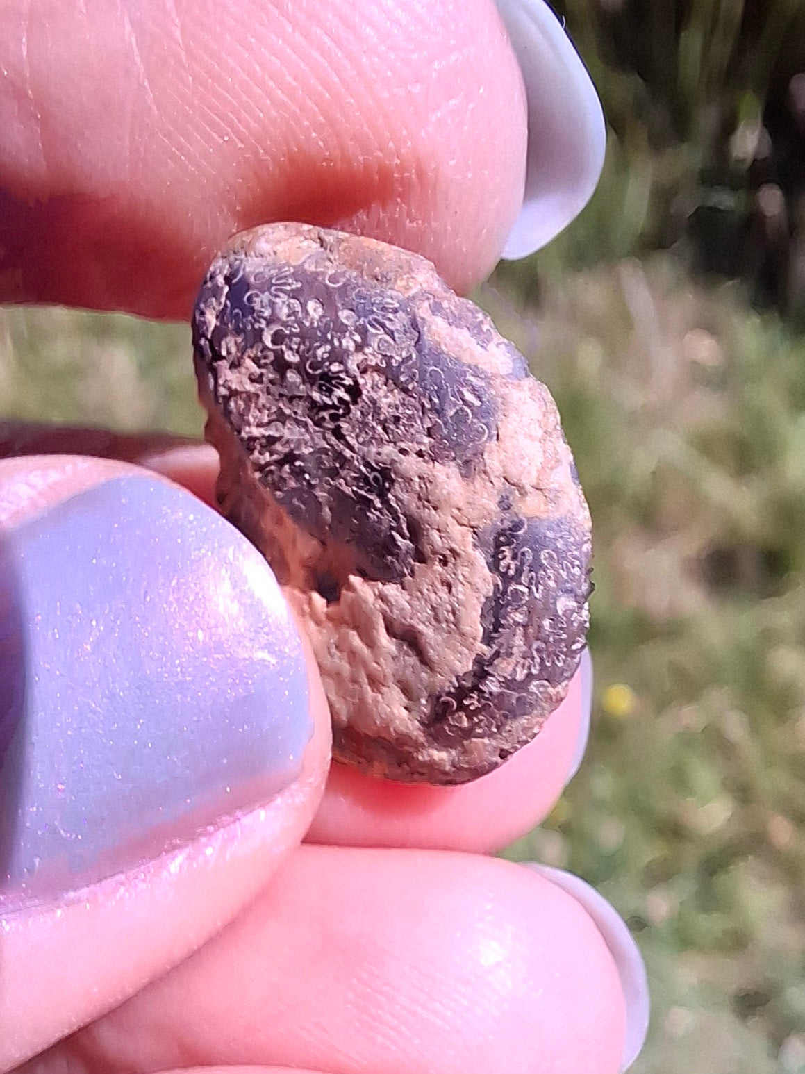 Small Haematite Ammonite HALF, 1.36g, Fossil (Ref: MA12)