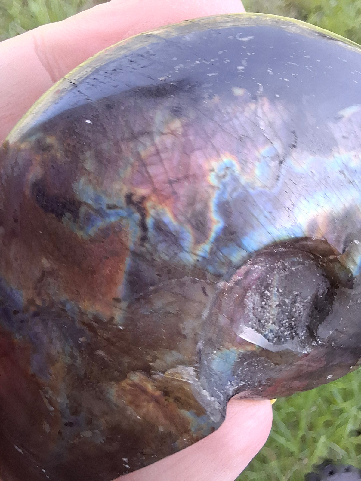 Labradorite Ammonite Carving, 89.31g, Crystal (Ref: laba6)
