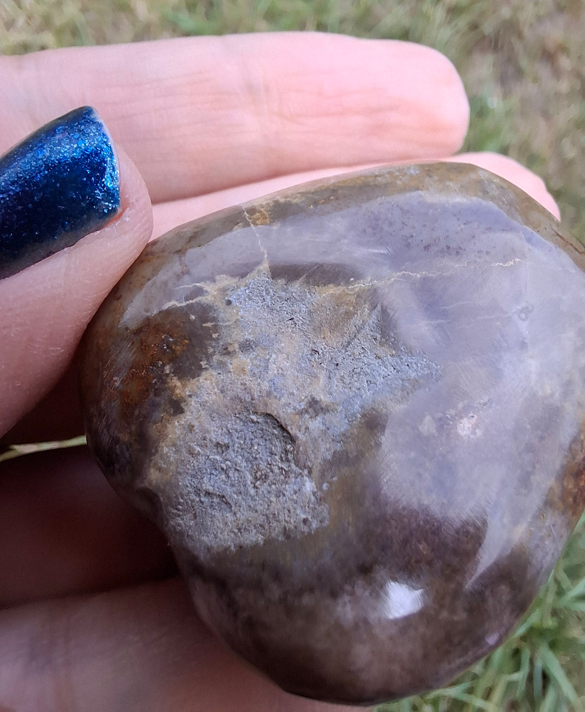 Polished Sea Urchin, Fossil (Ref: SU3)