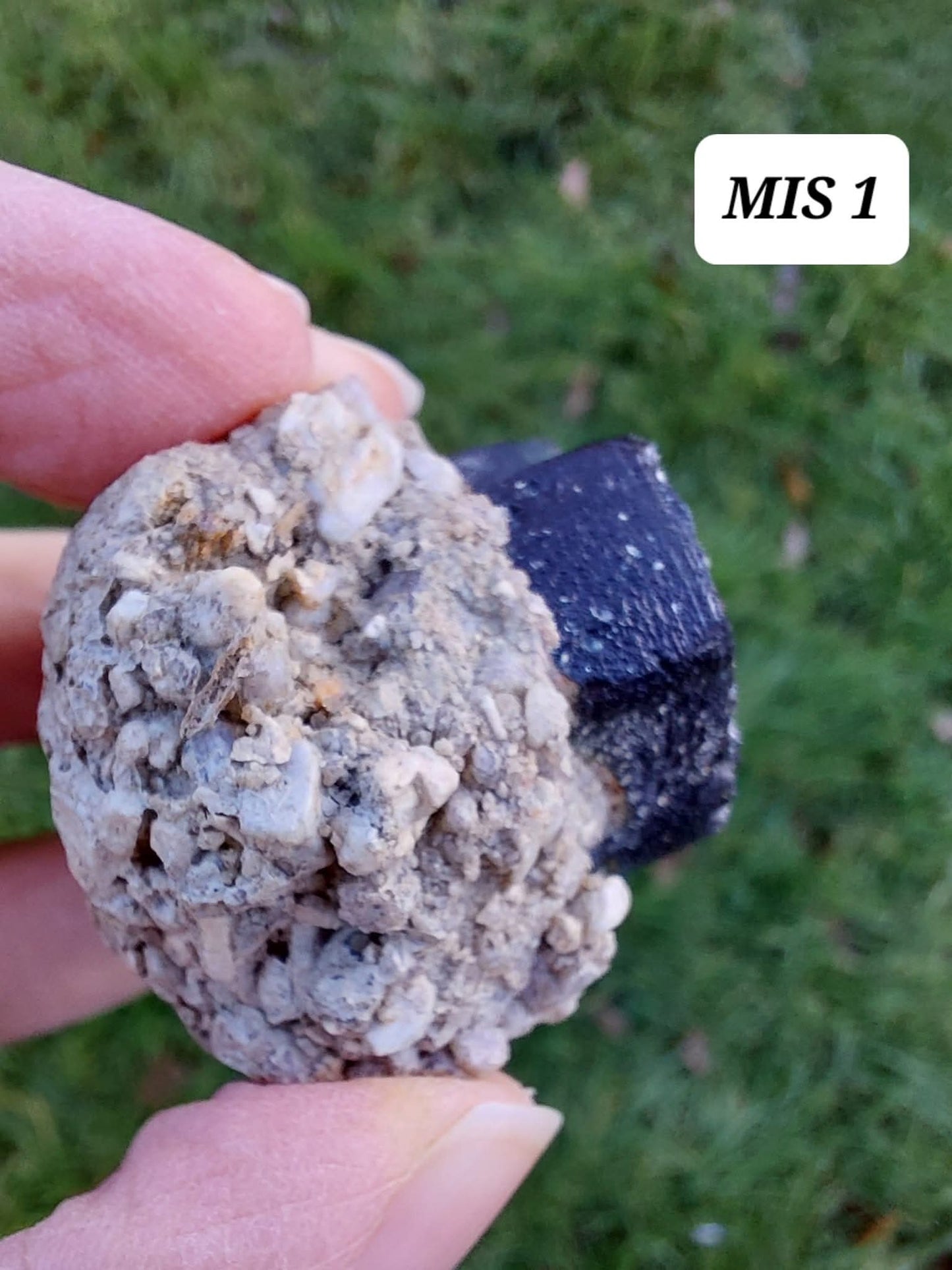 Moldavite In-Situ (in matrix), Besednice, Est-13g, Tektite (Ref: MIS1)