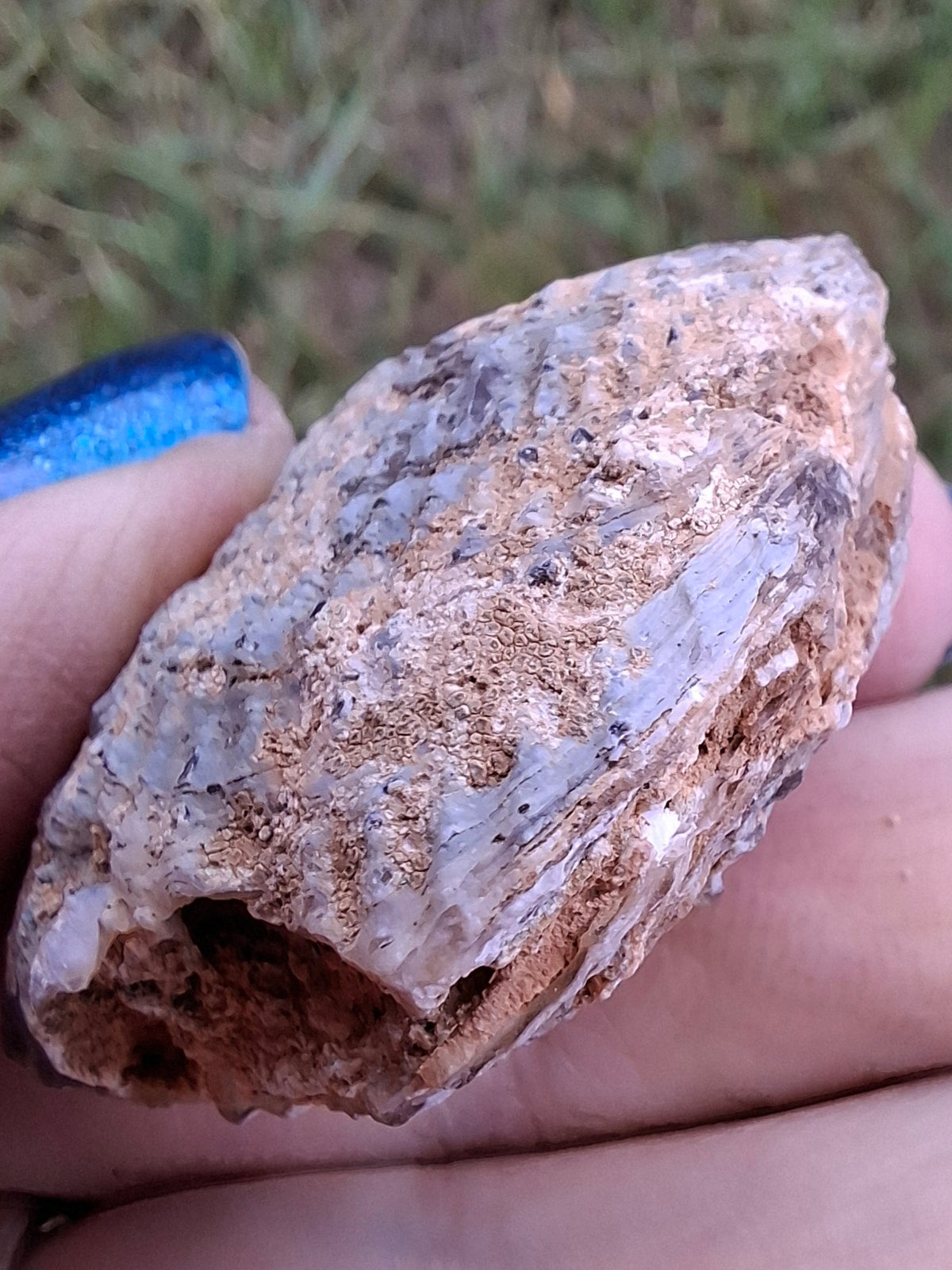 Chalcedony Oyster, Fossil (Ref: FO5)